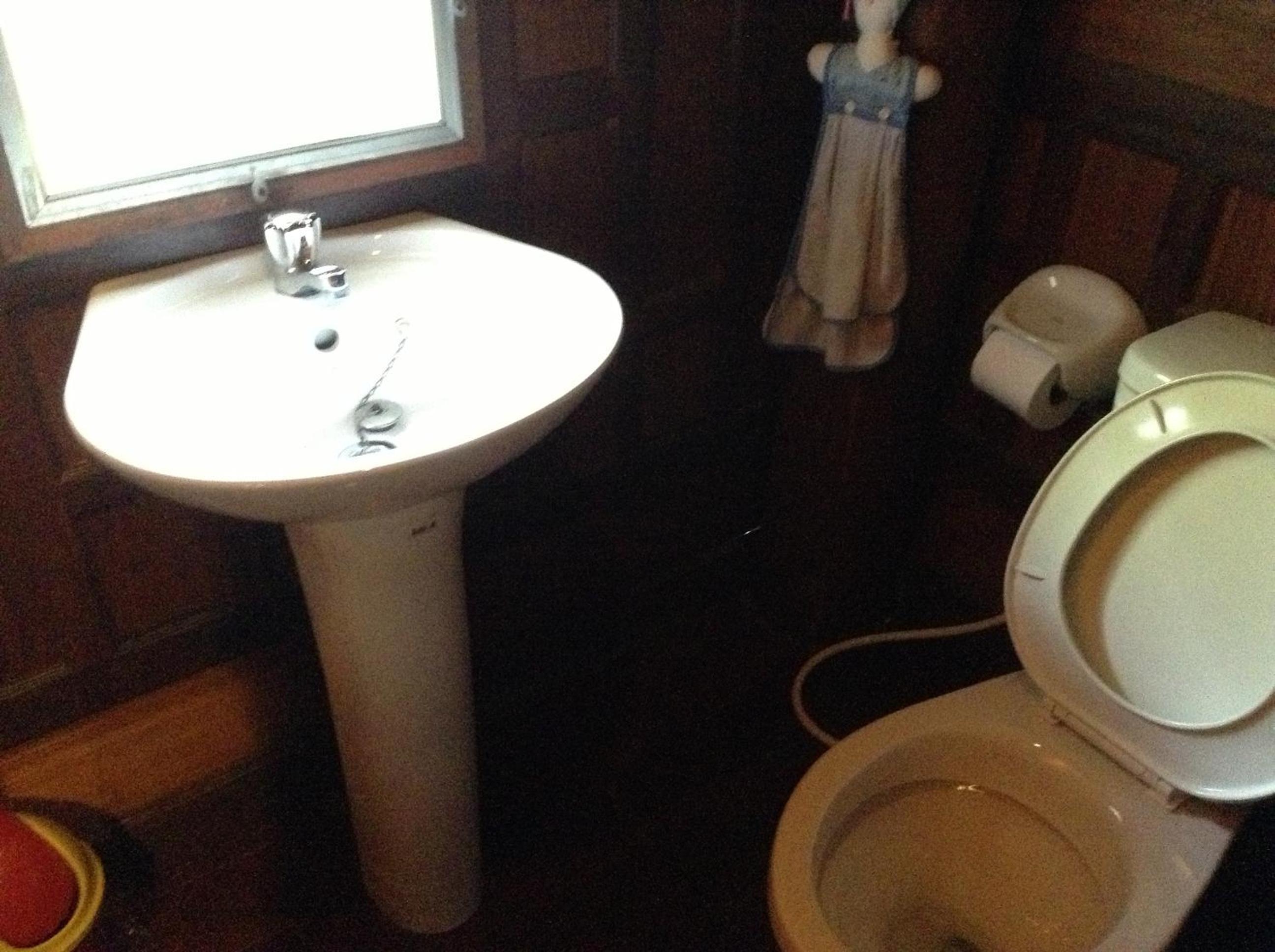Photo 41