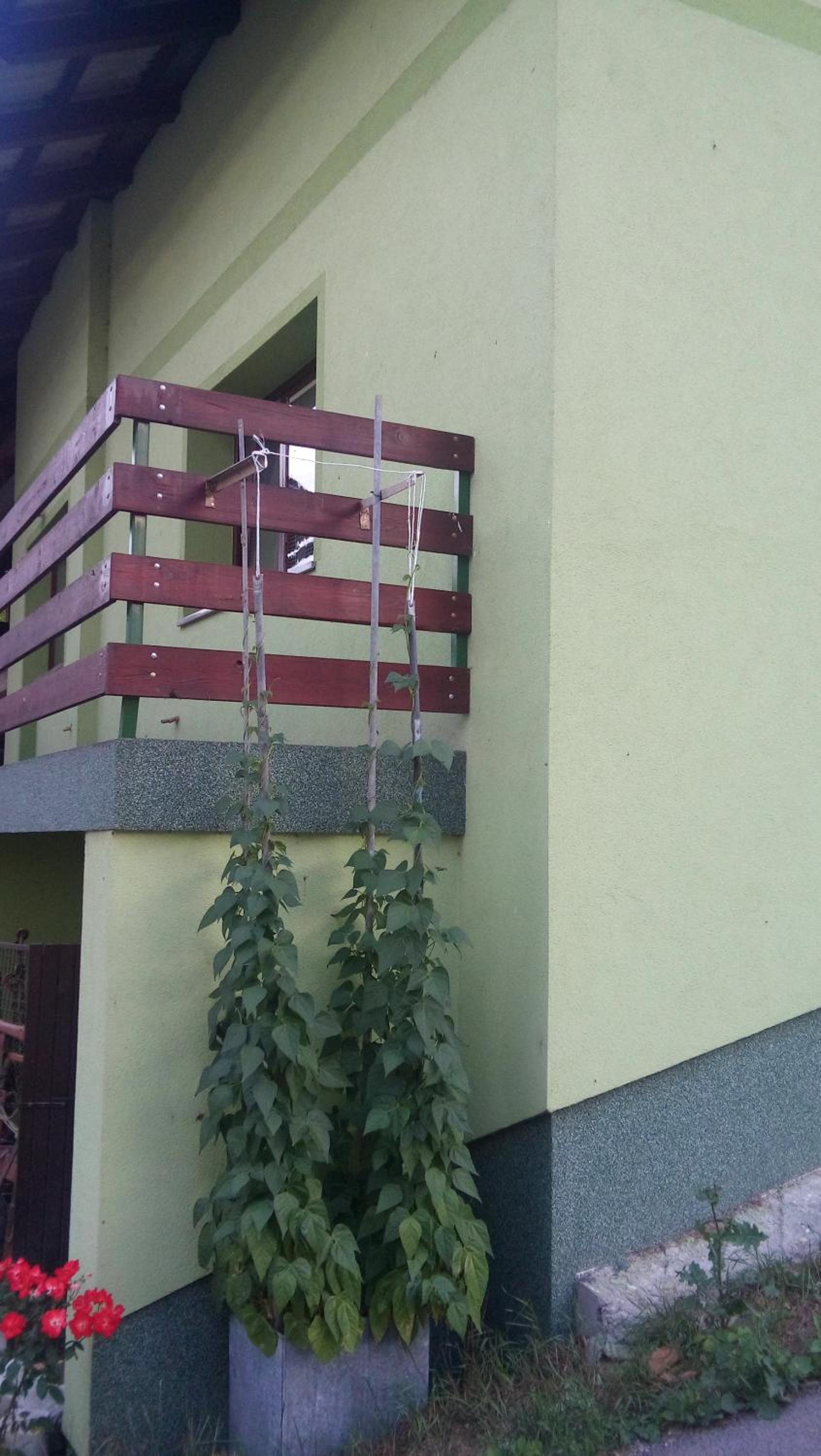 Apartma Juha - view 5