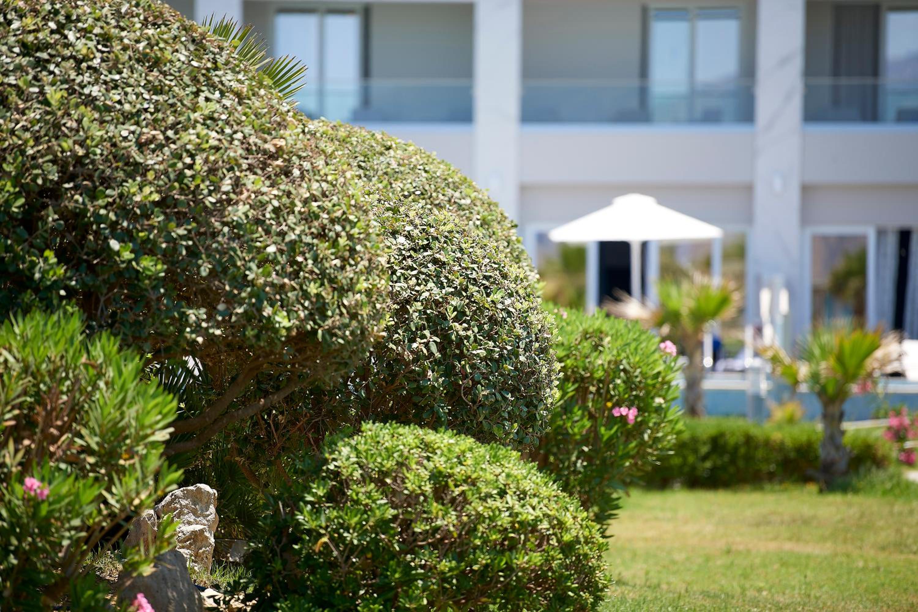 Hotel Mythos Palace Resort & Spa - Image 1