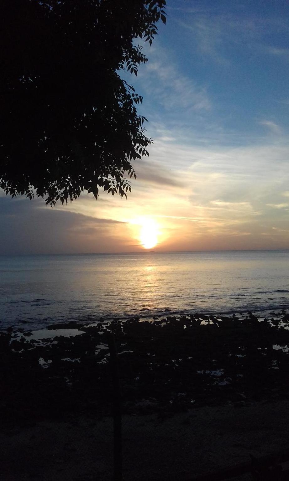 AAL Homestay Syariah view 3