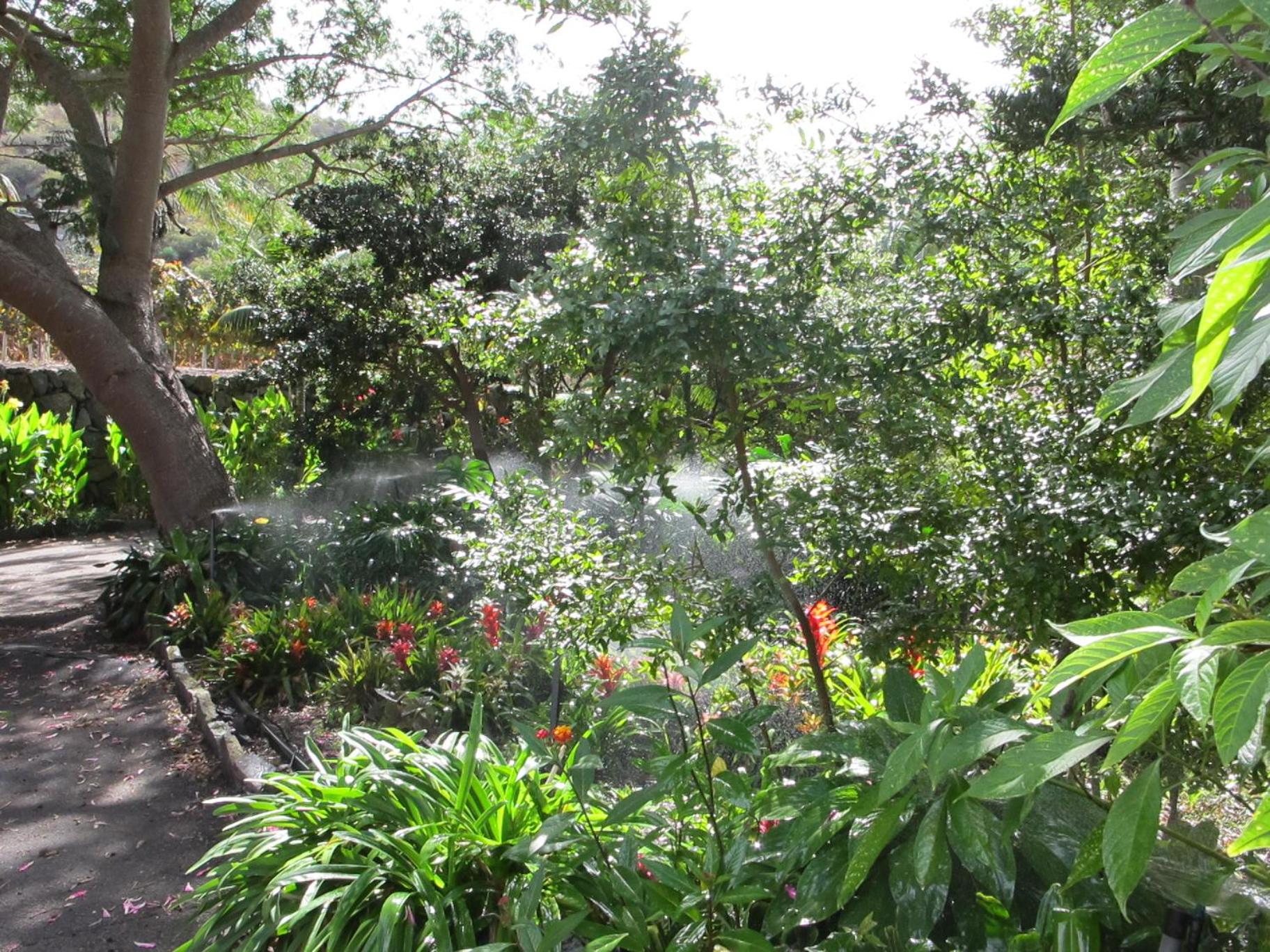 Photo 52
