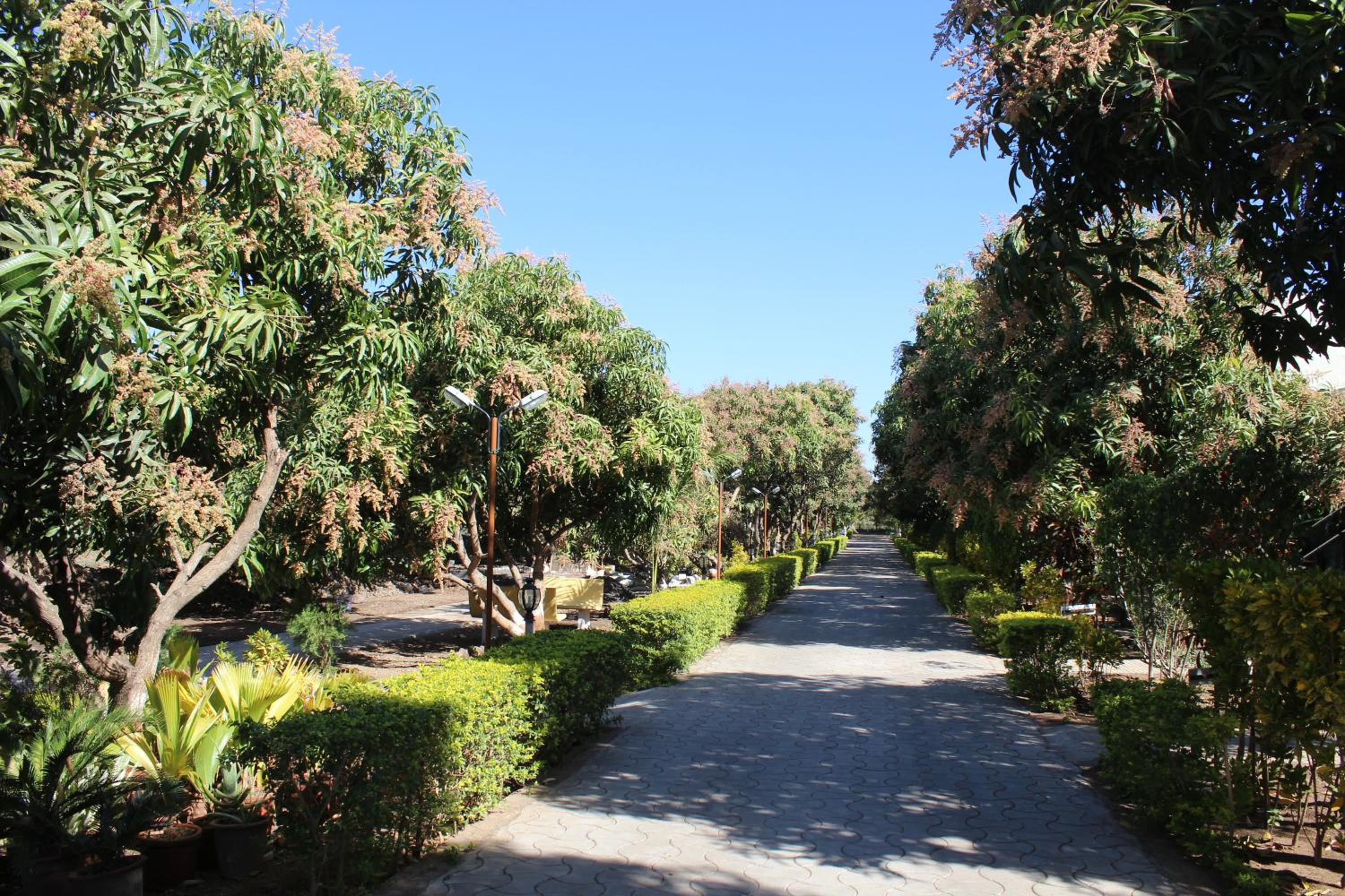 Gir Jungle Lodge
