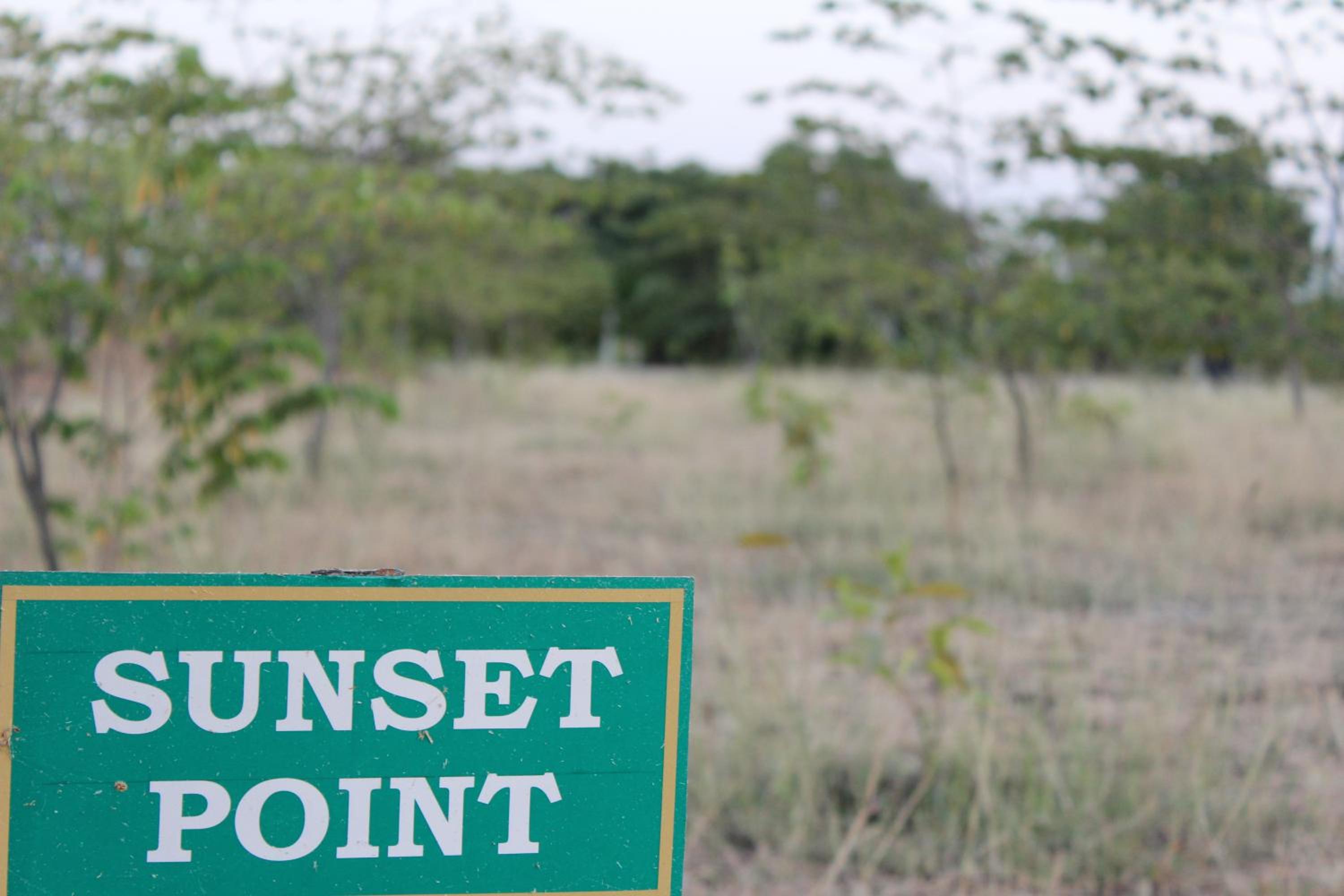 Gir Jungle Lodge