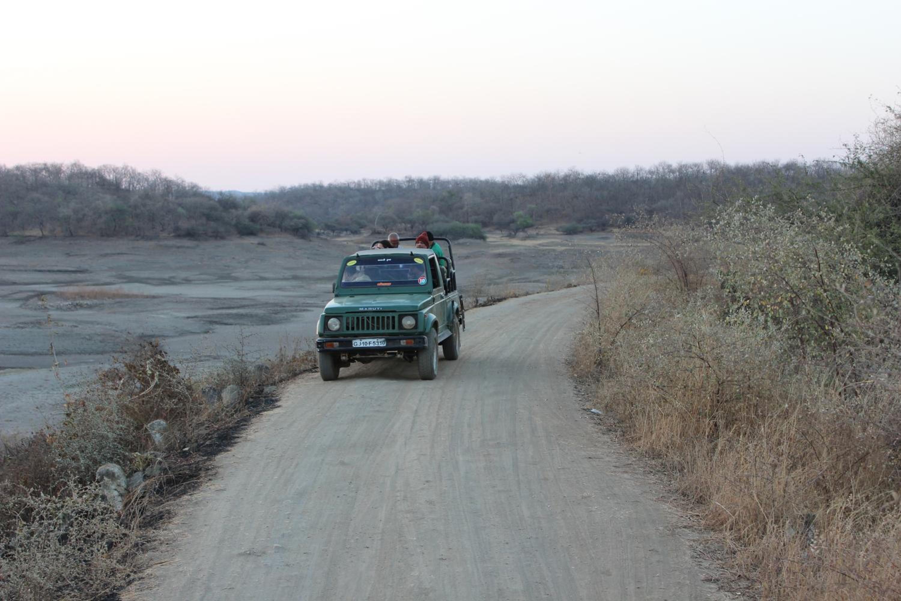 Gir Jungle Lodge