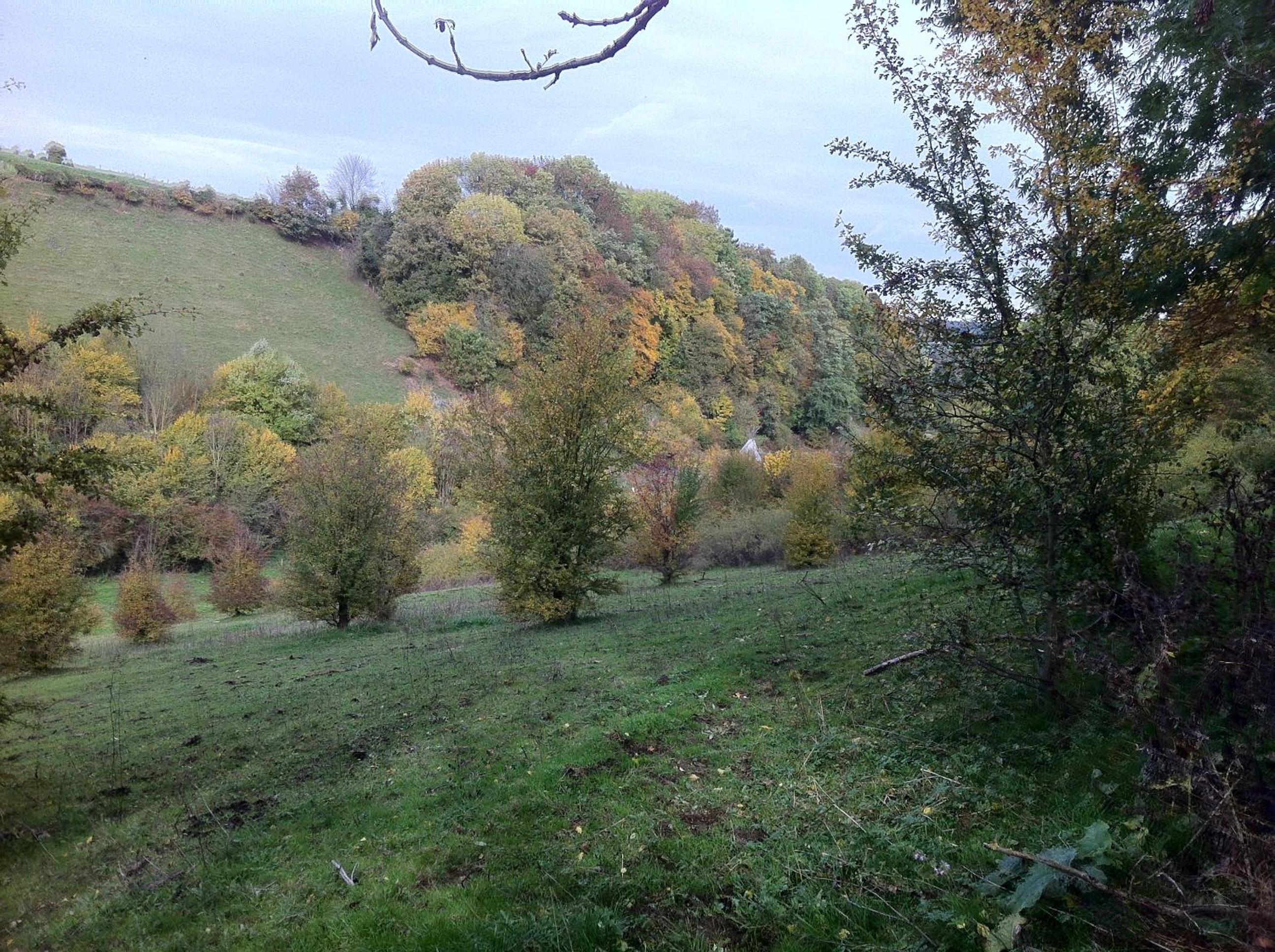 Le Paradis