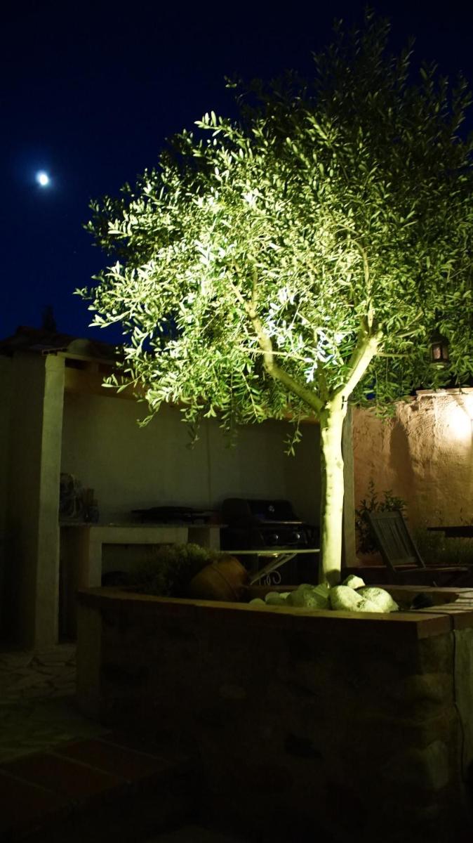 Photo 30