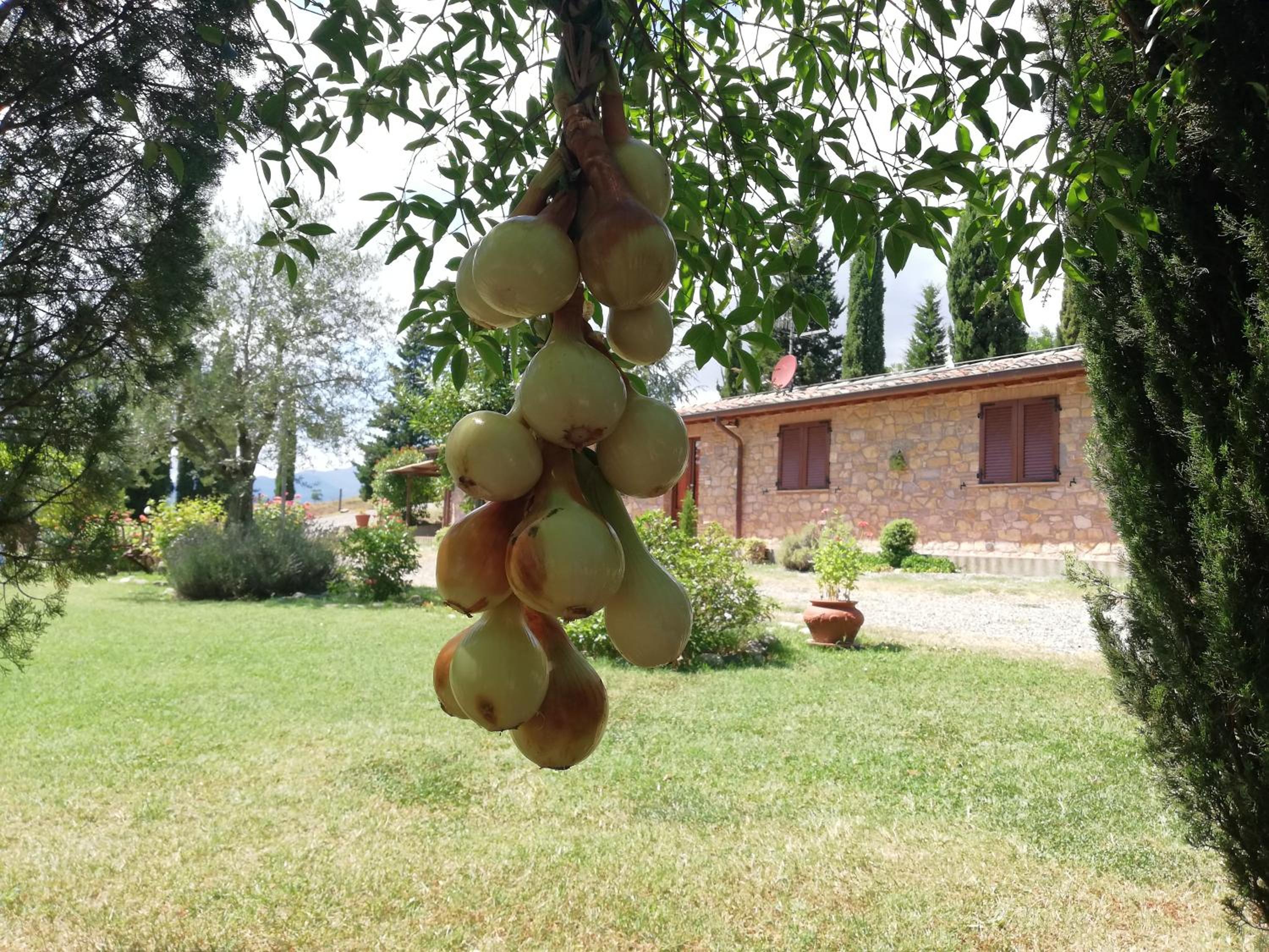 Agriturismo Collomici