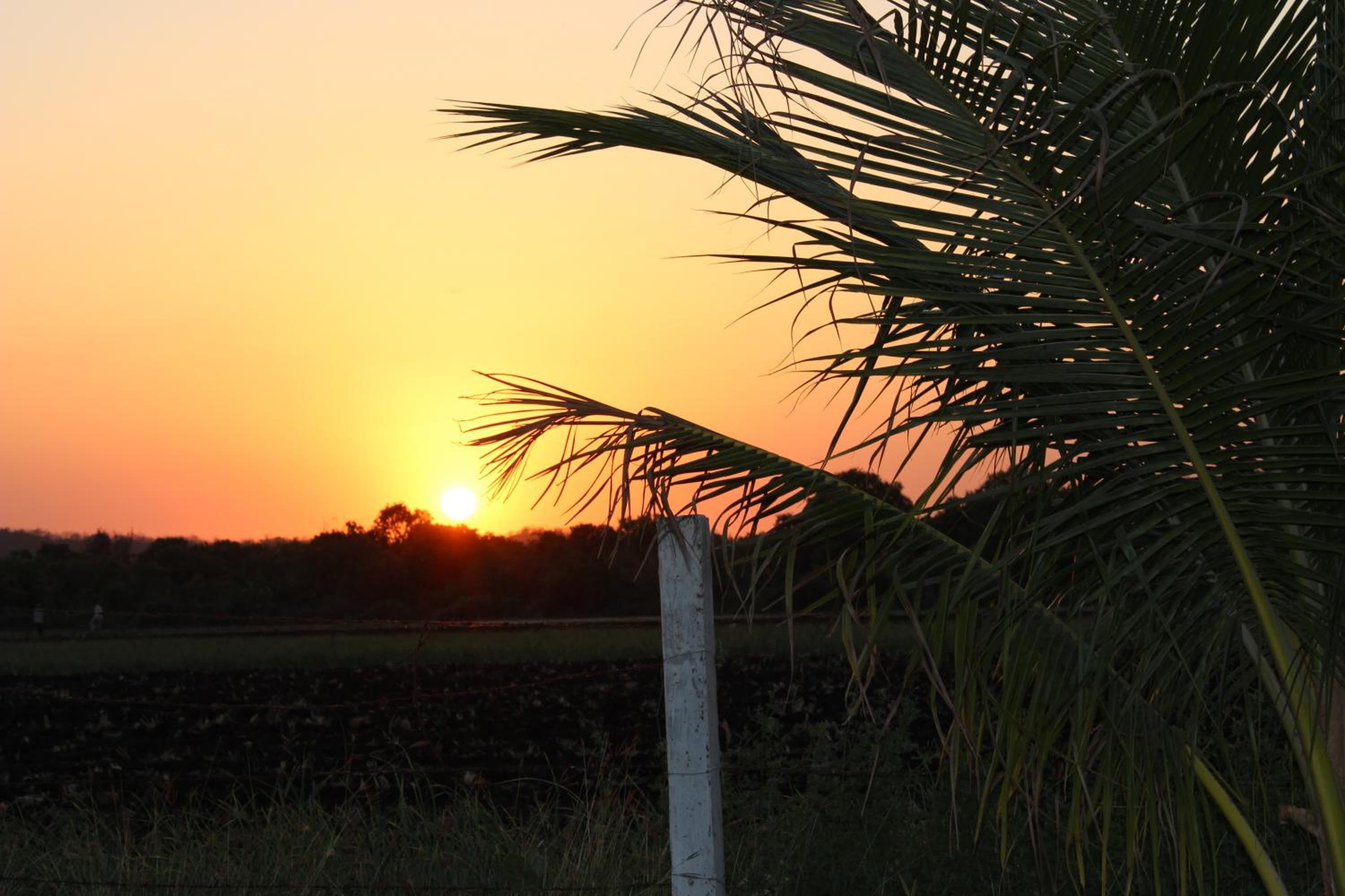 Gir Jungle Lodge