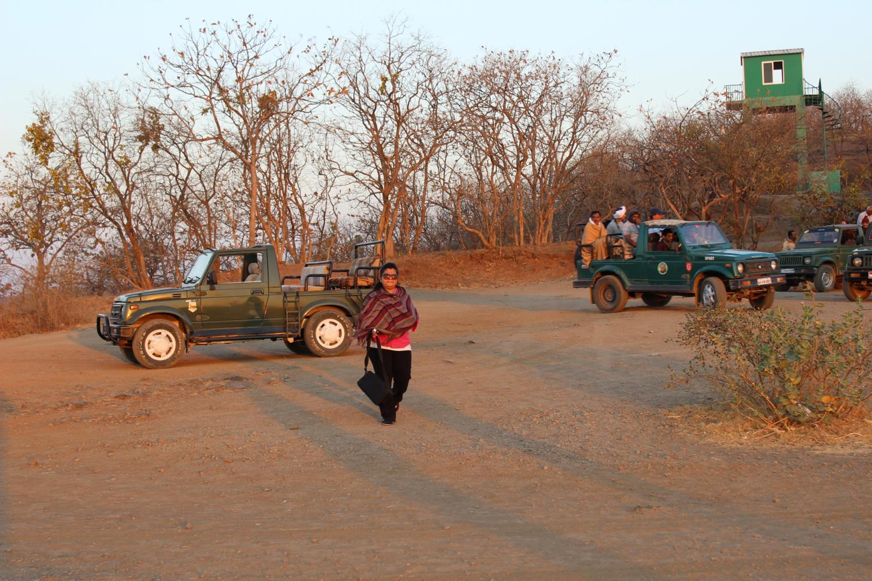 Gir Jungle Lodge