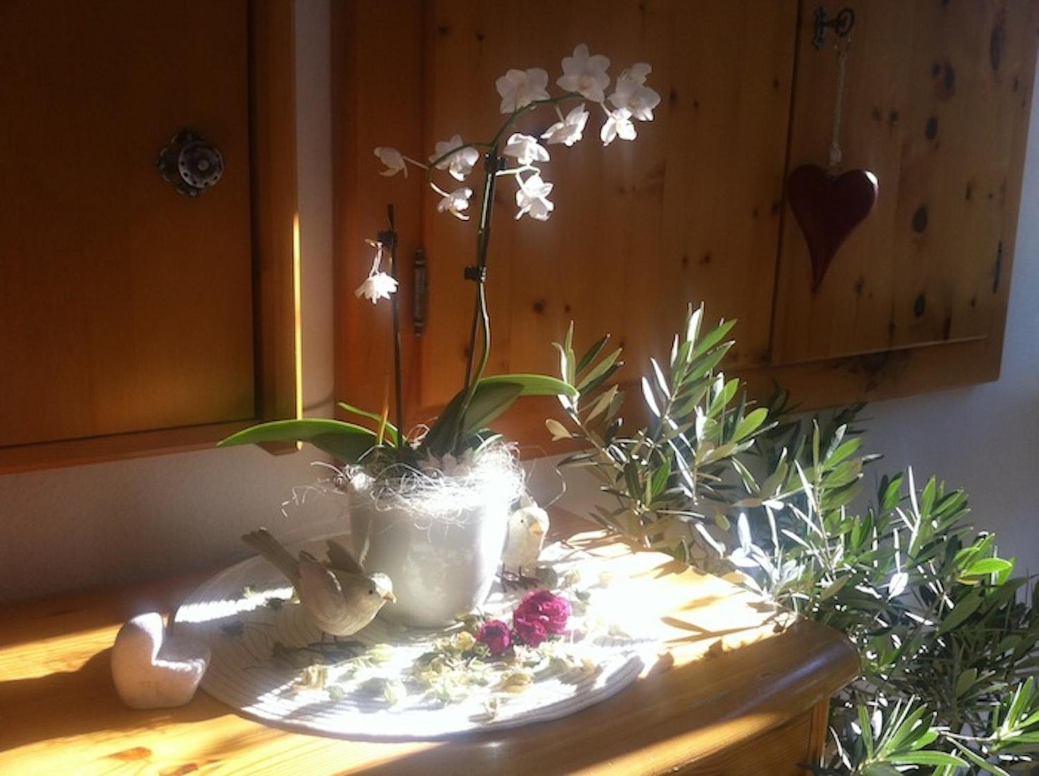 Pension und Apartment Edelweiß