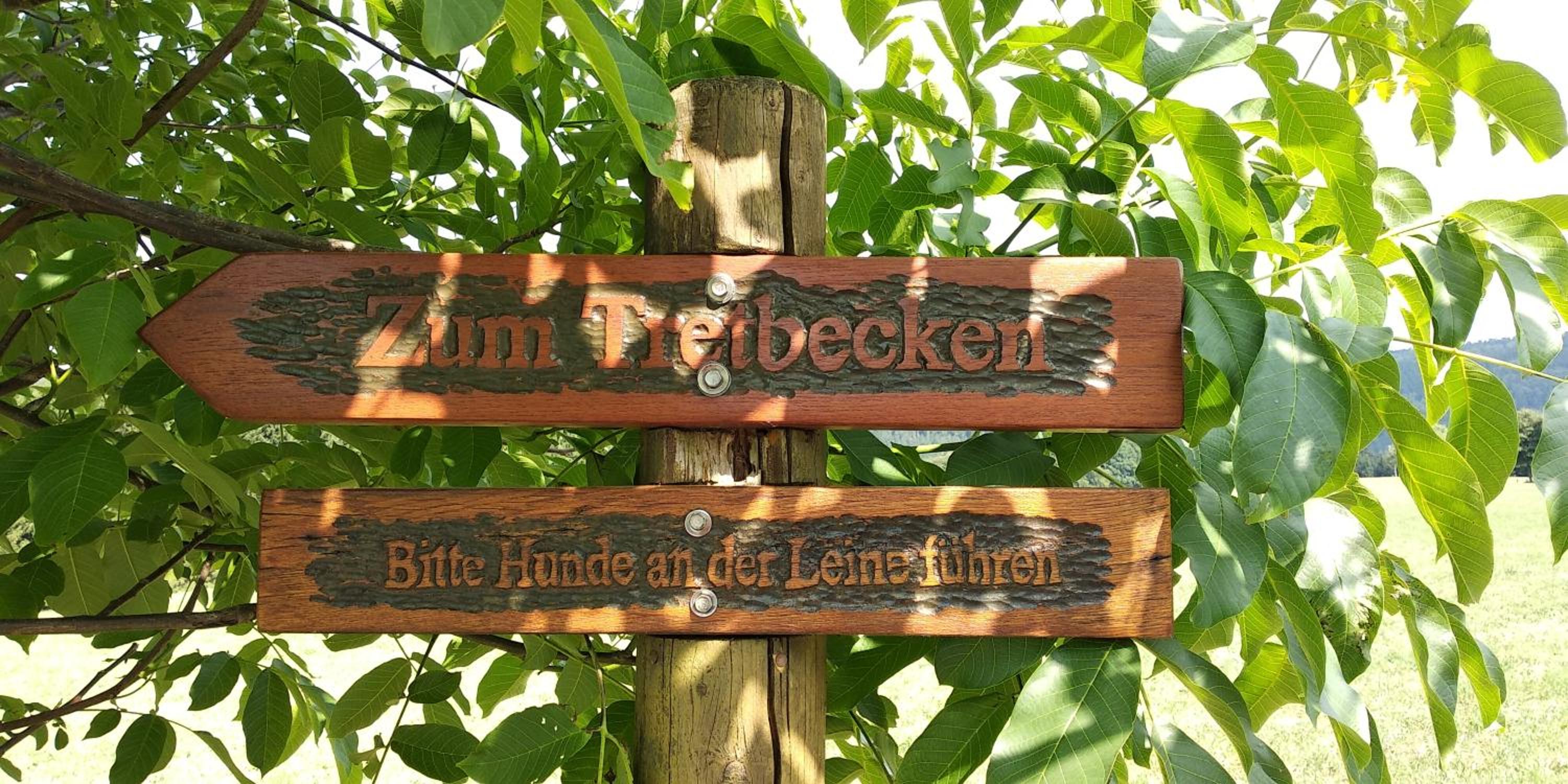BergZeit in Langewiese - Appartment Landelijke Star