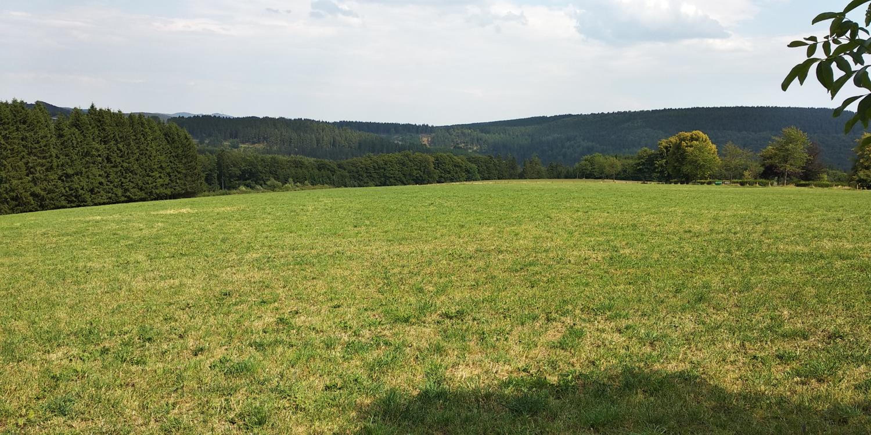 BergZeit in Langewiese - Appartment Landelijke Star