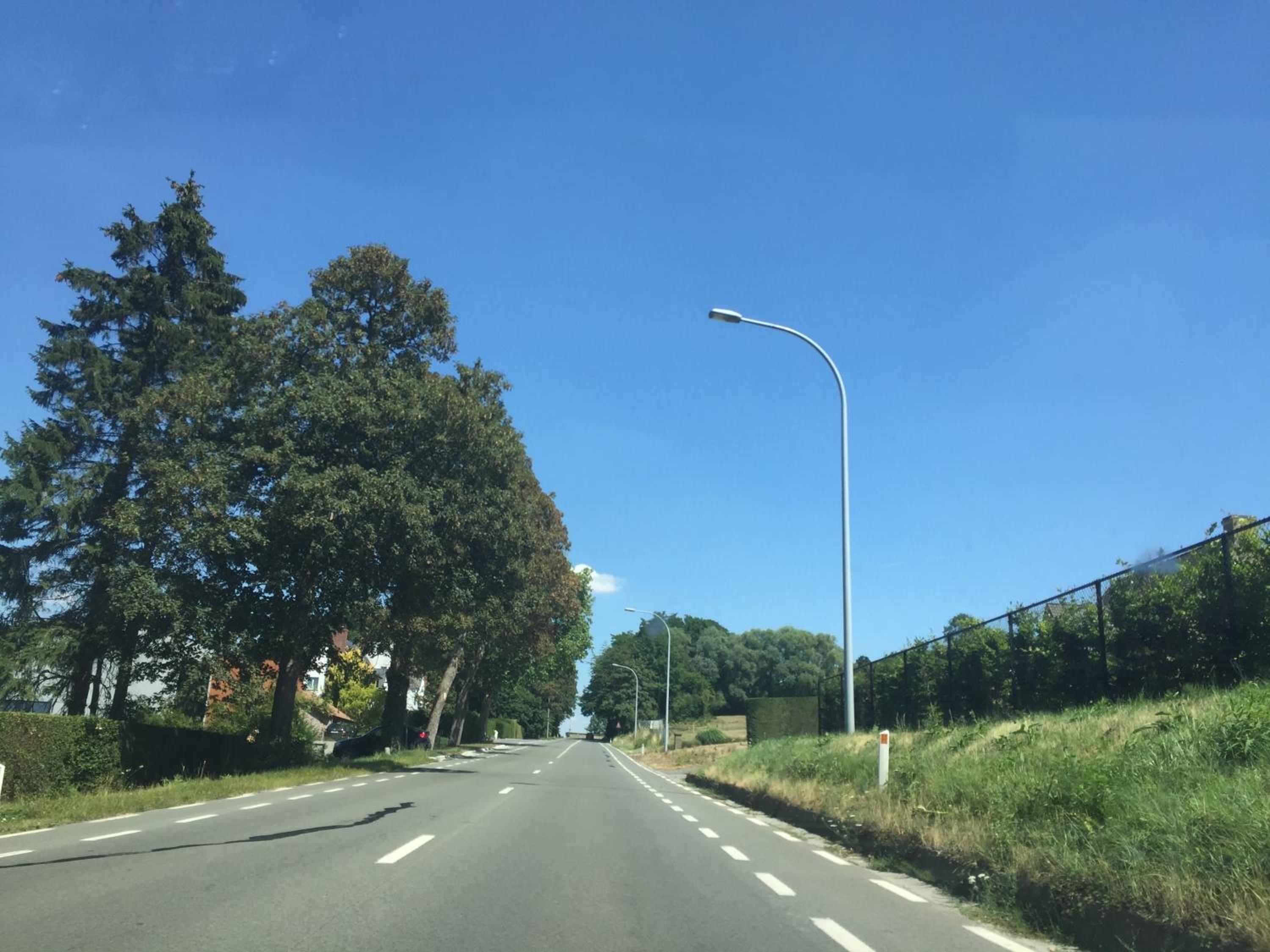 Photo 16