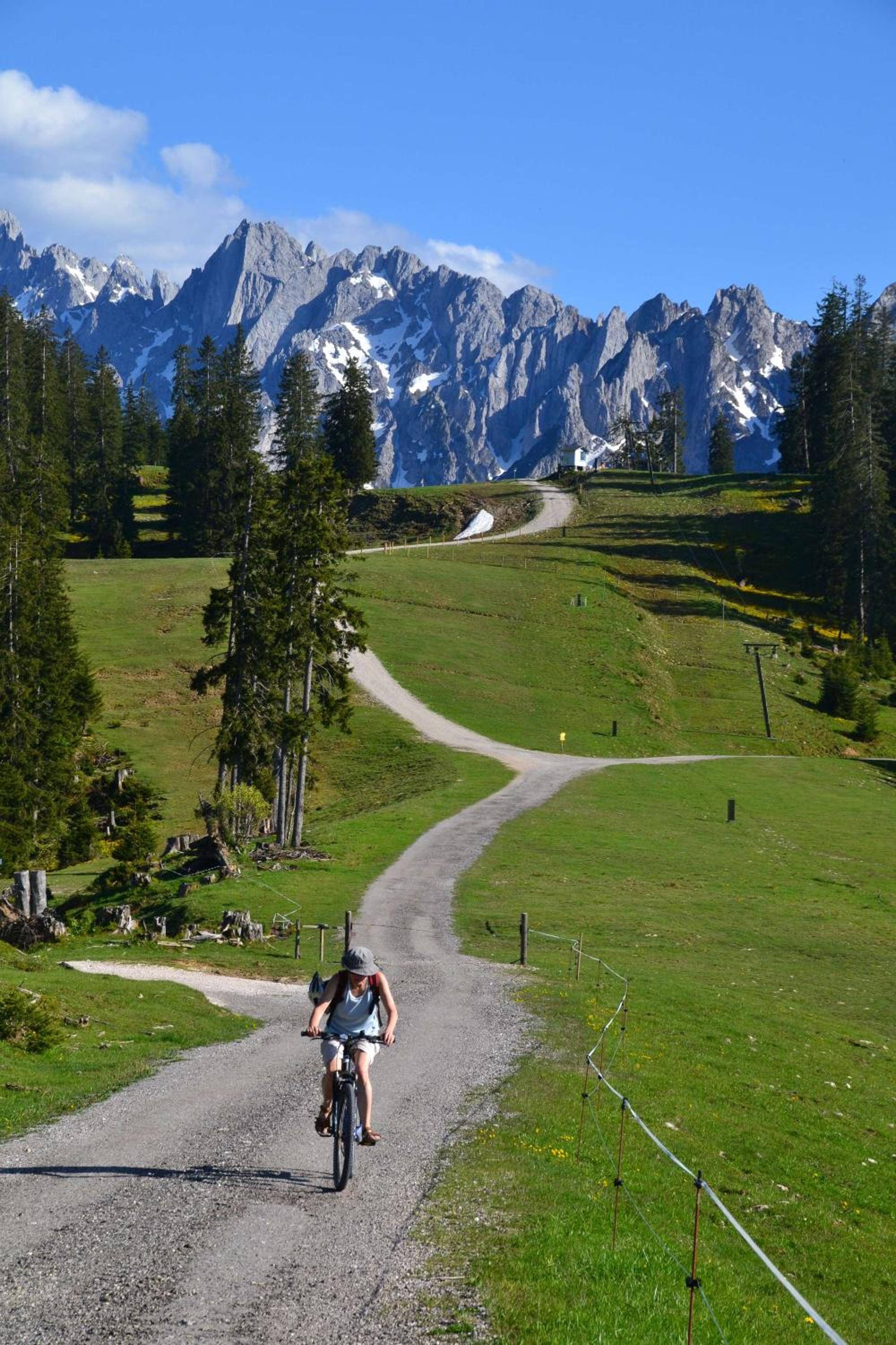 Pension Edelweiss Top21