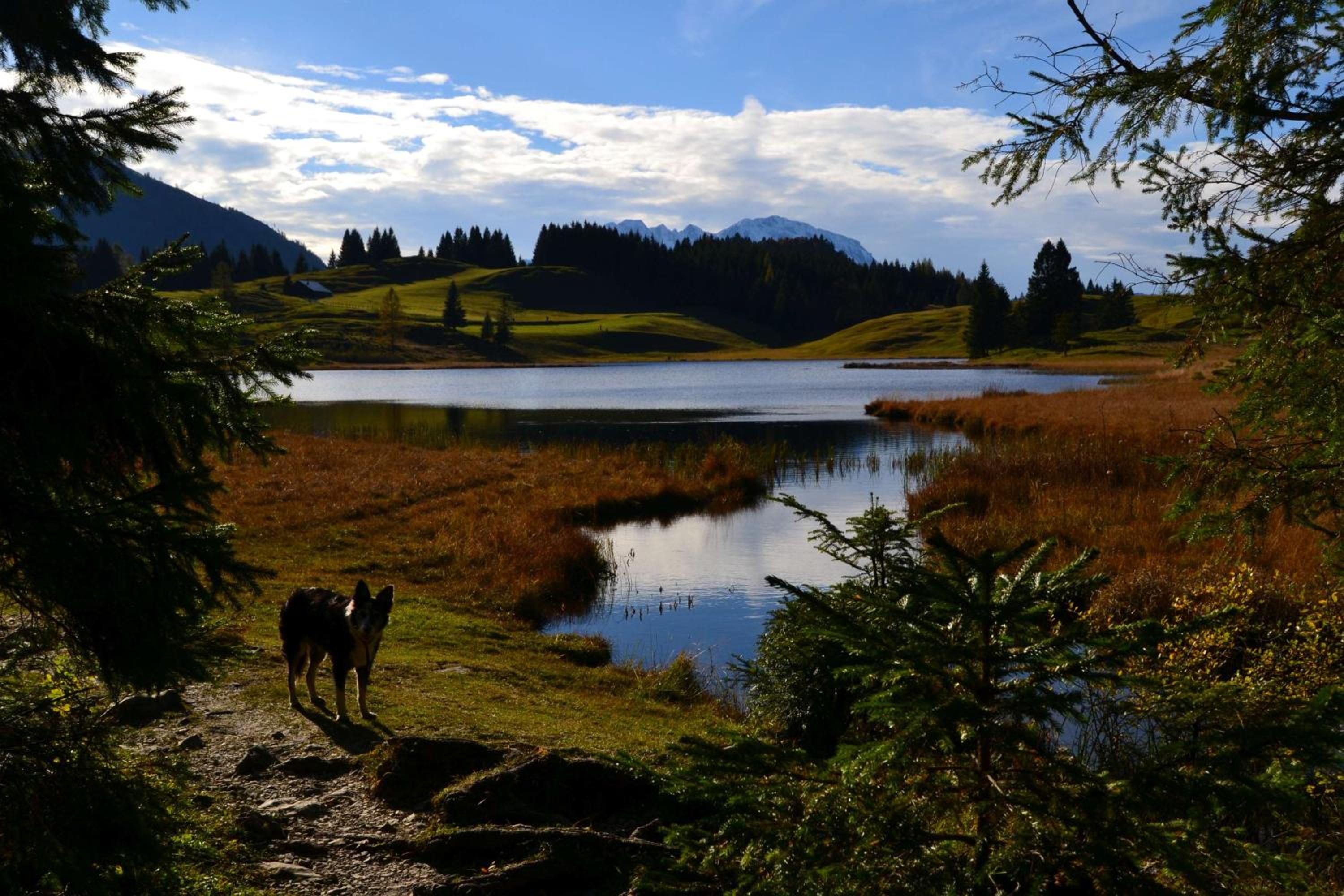Pension Edelweiss Top21