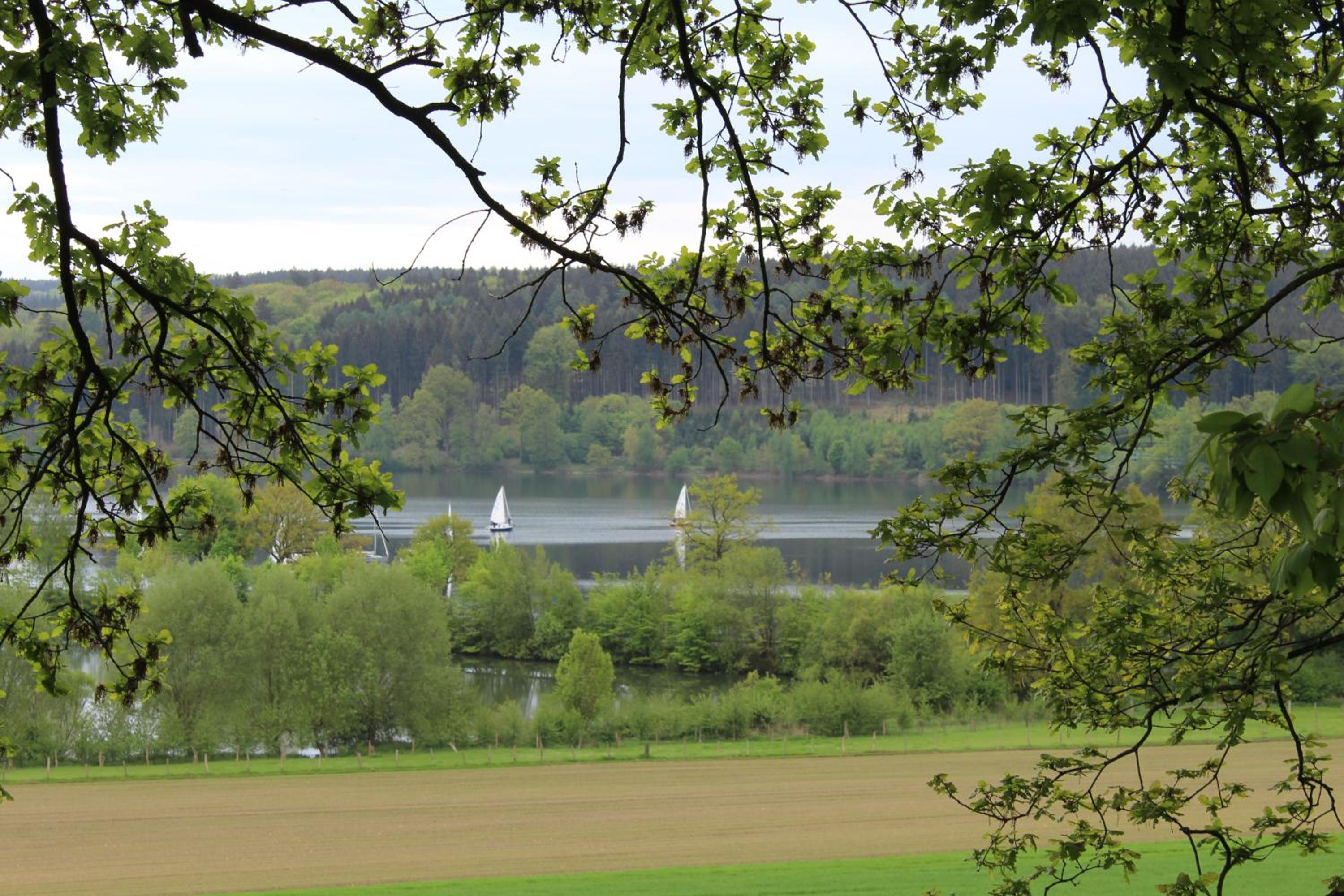 Ferienwohnung Am Fischteich