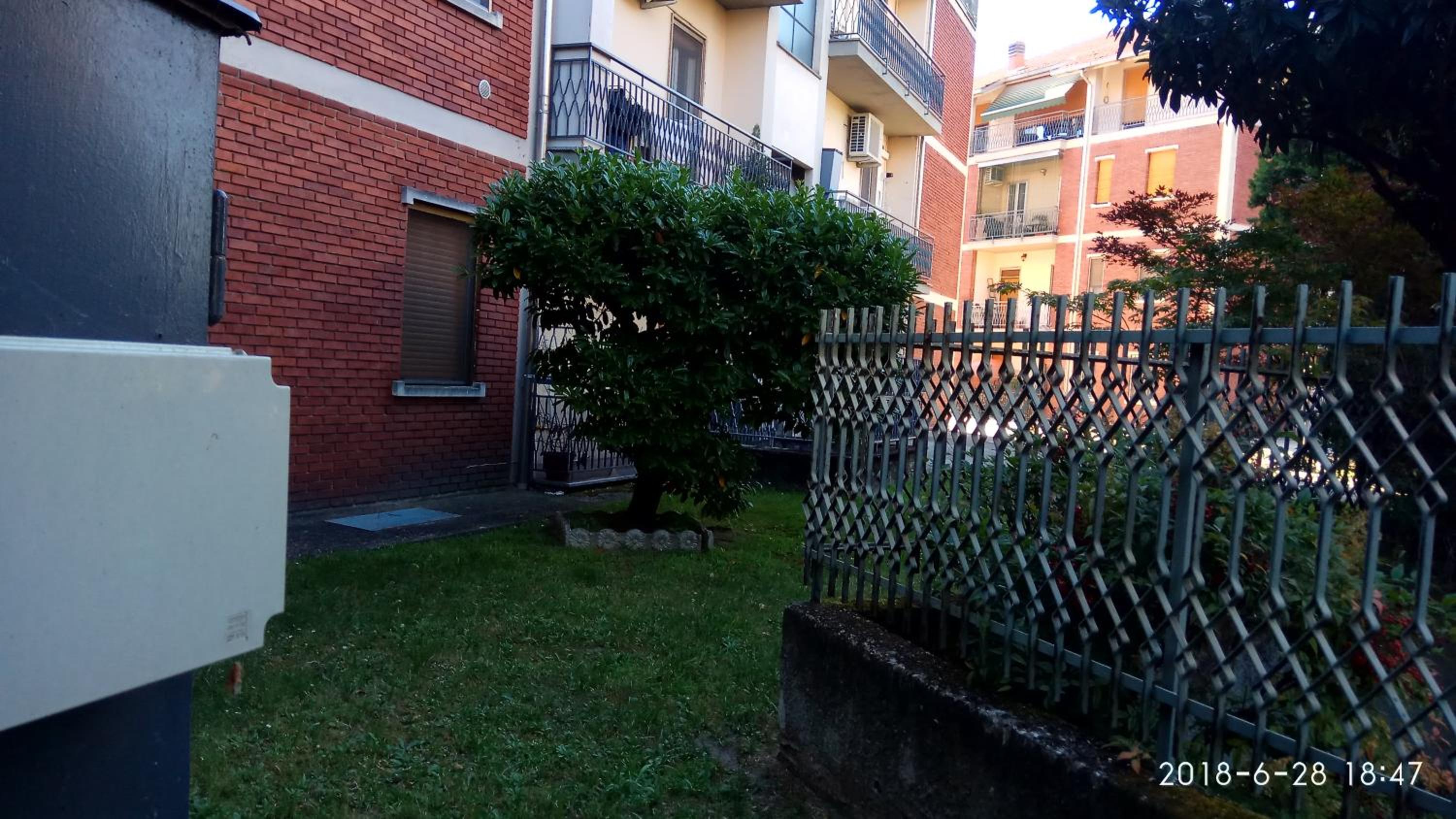 Photo 12