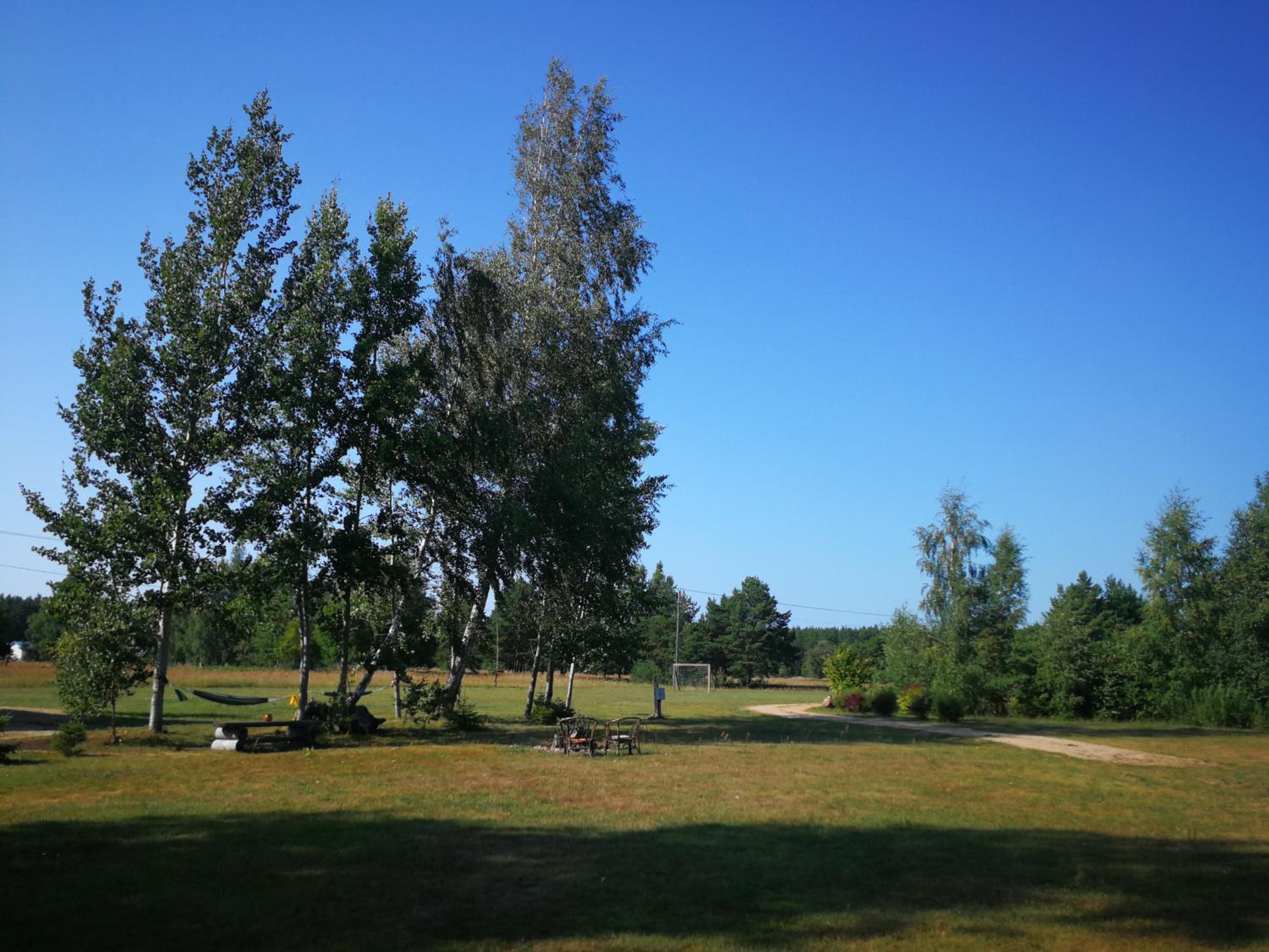 Photo 42