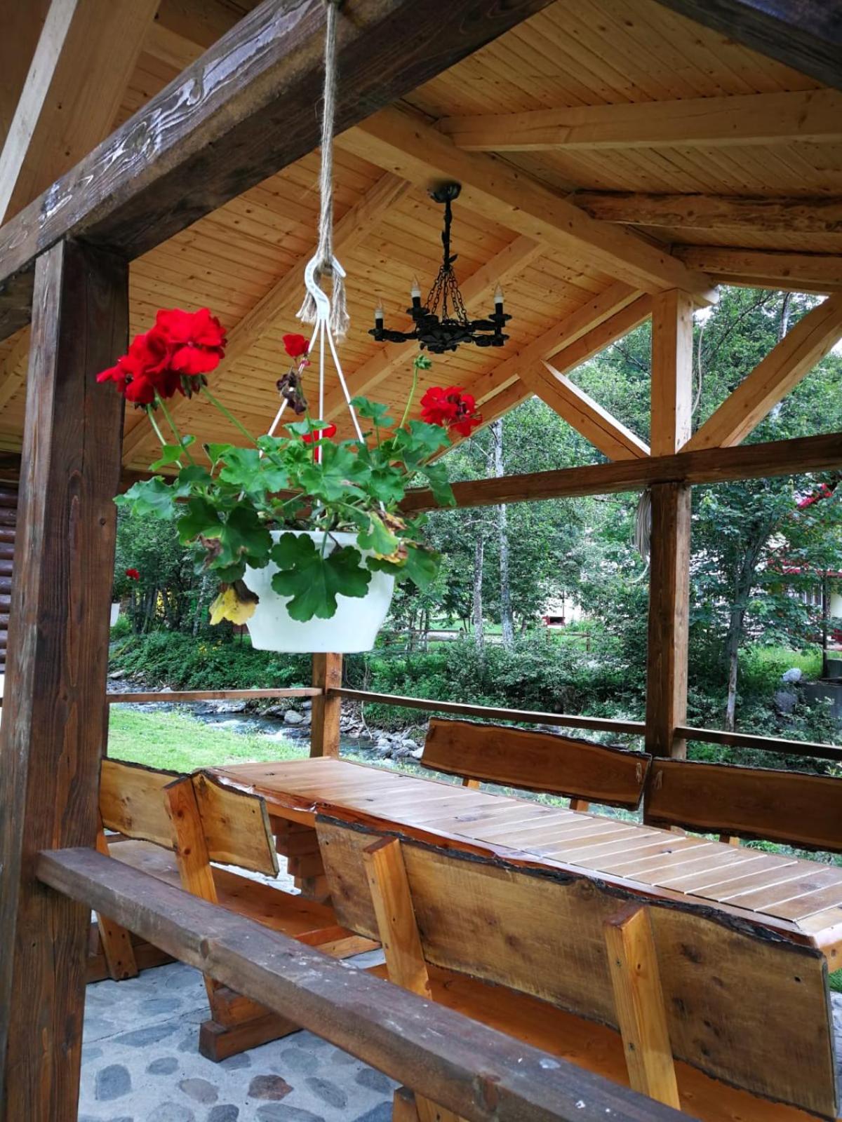 Cabana Rustic Balea en Cîrţişoara