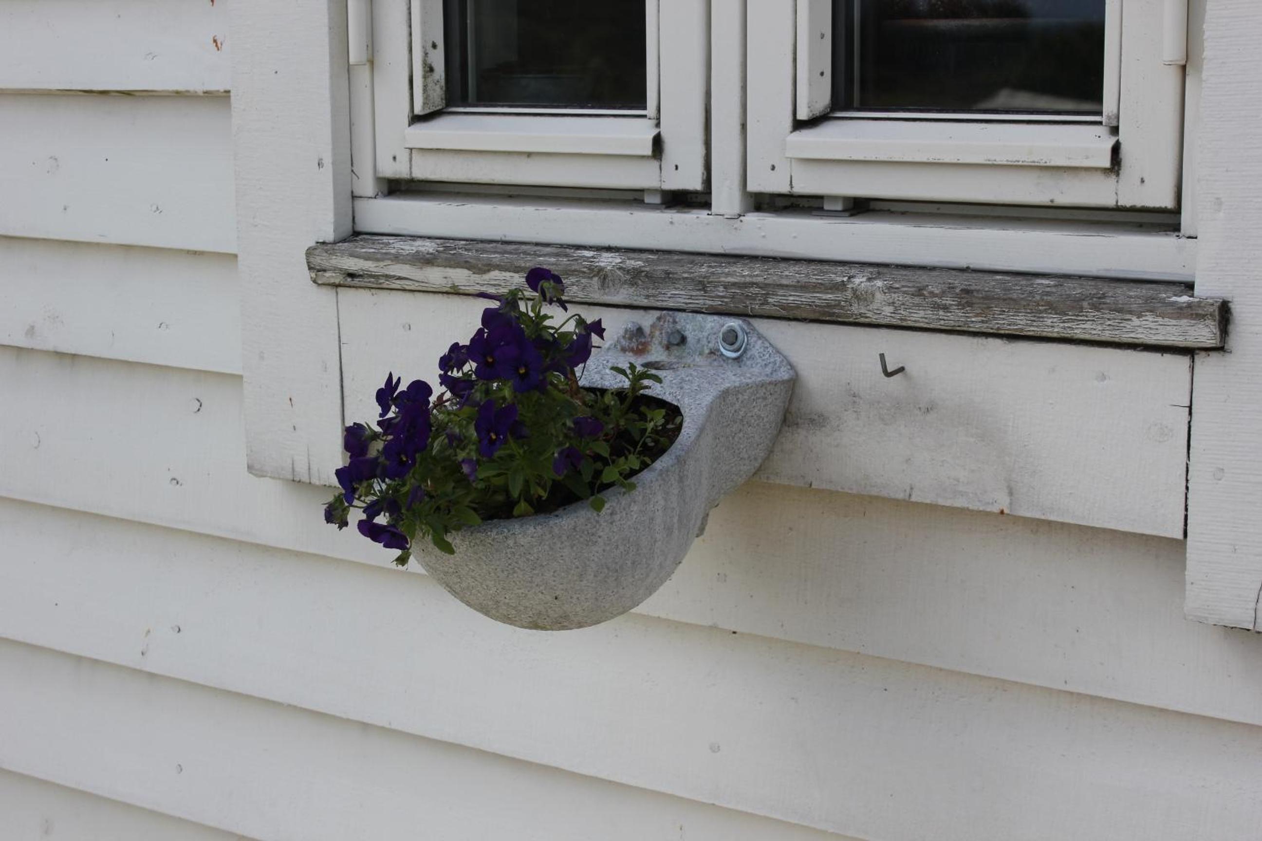 Photo 14