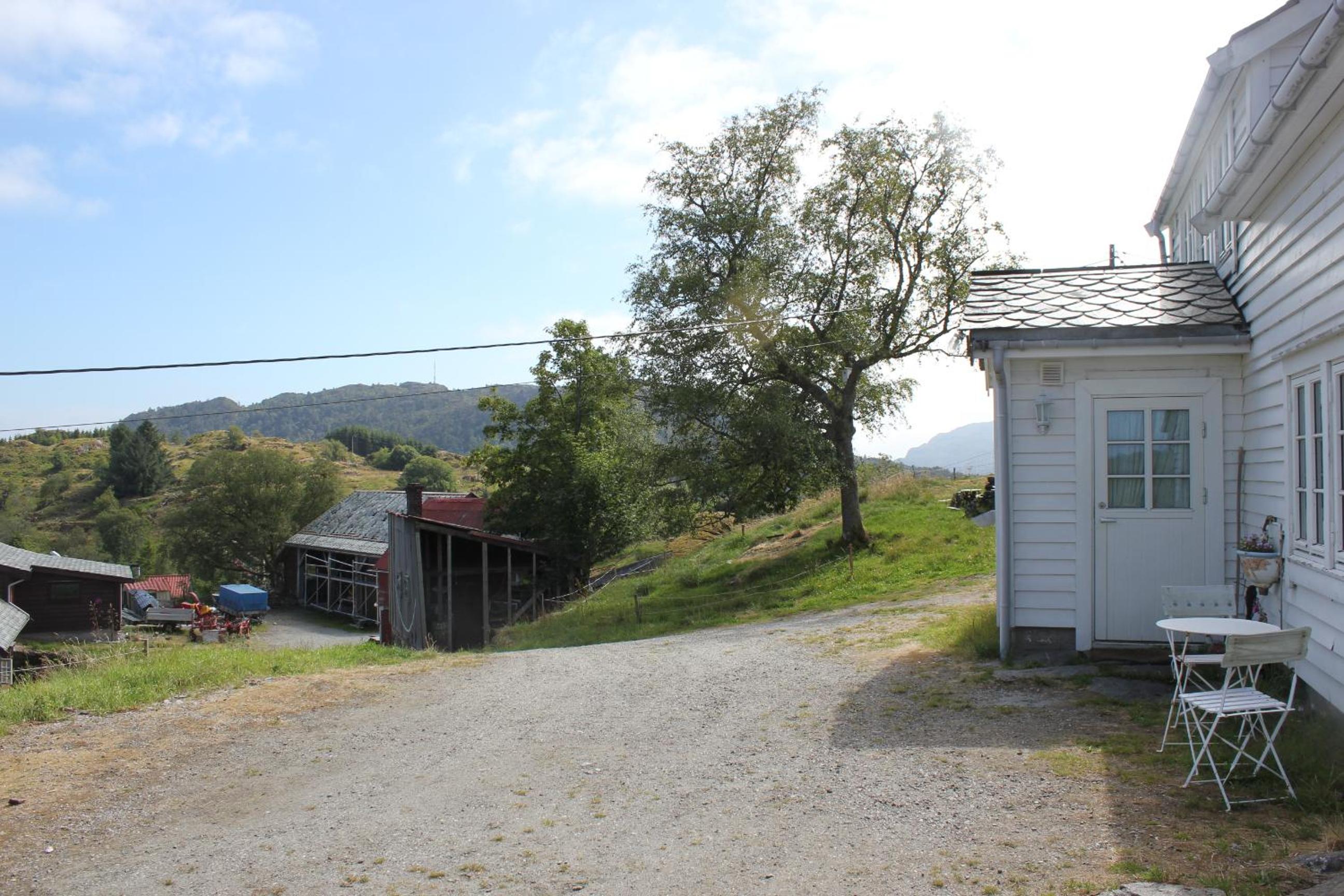 Photo 11