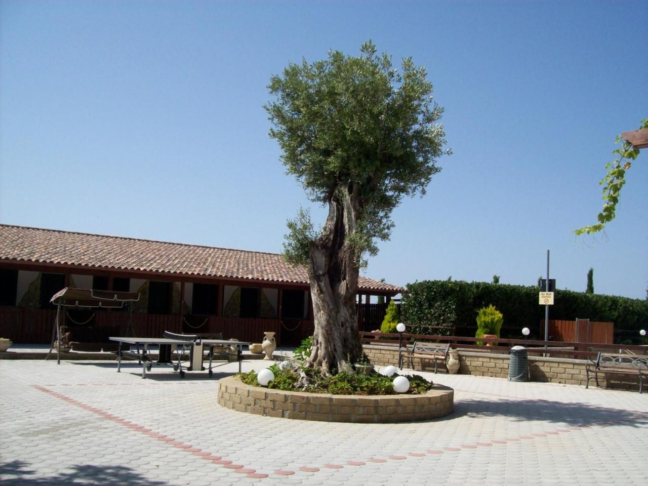 Photo 22