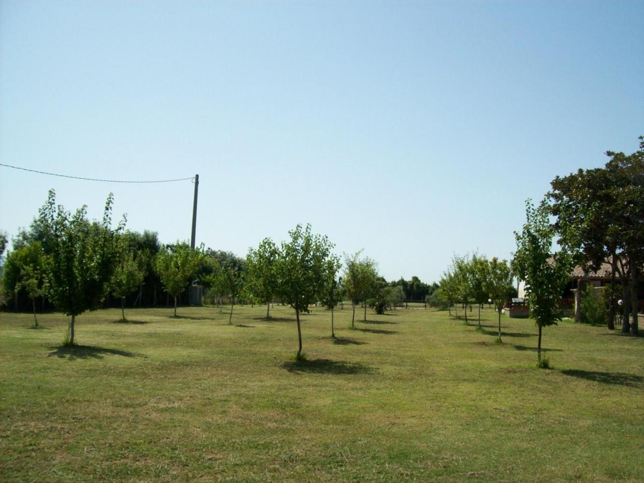 Photo 24