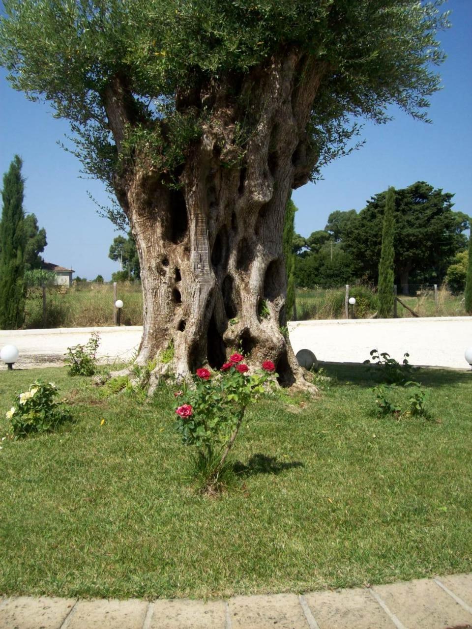 Photo 20