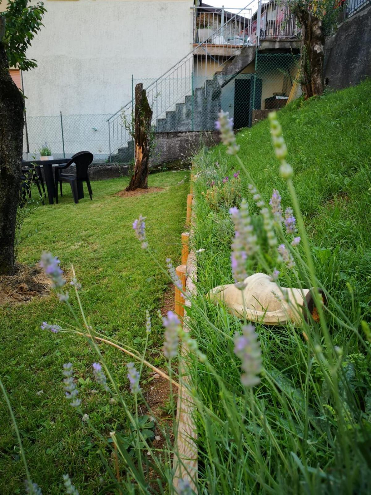 Photo 42
