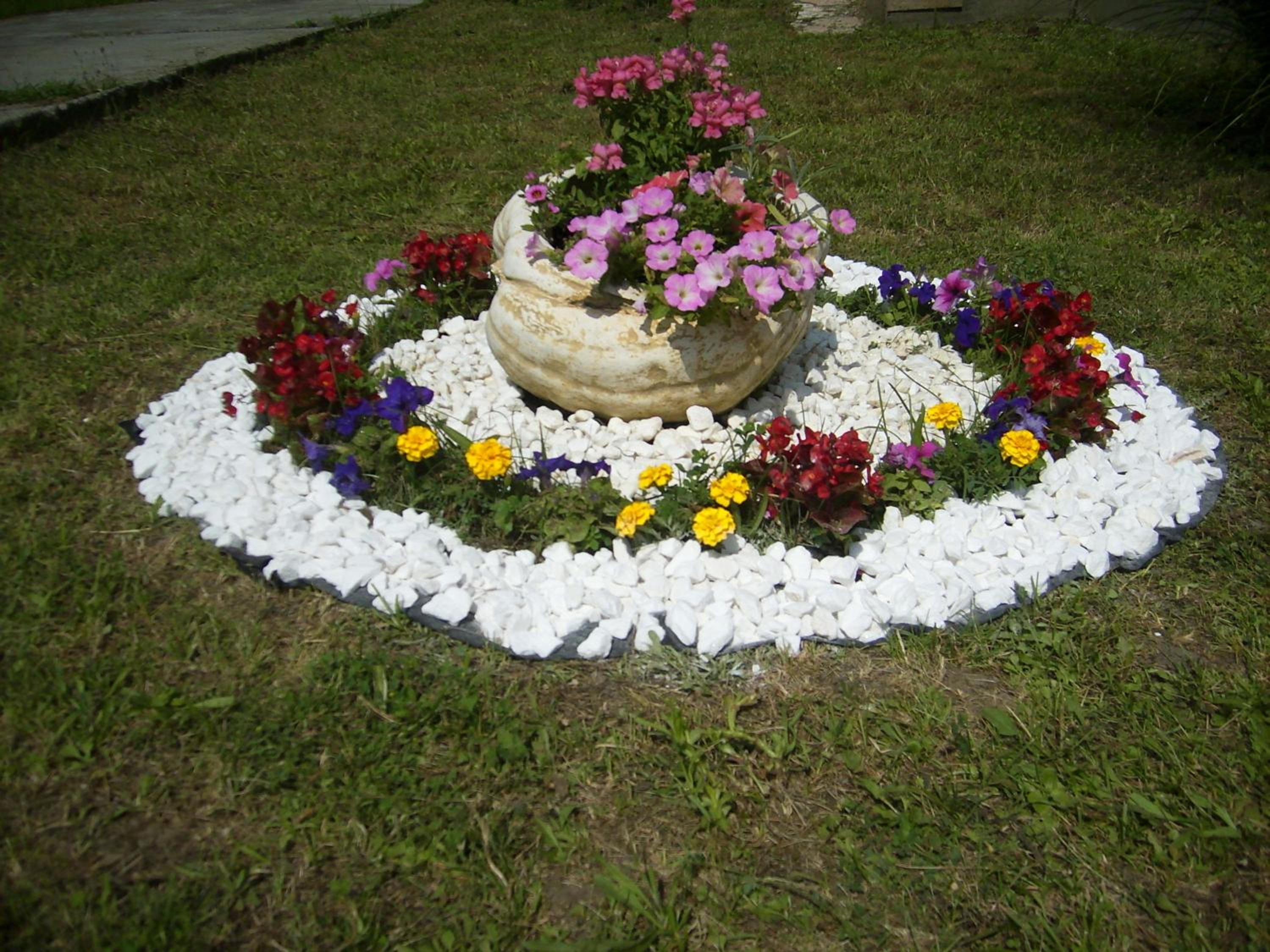 Photo 42
