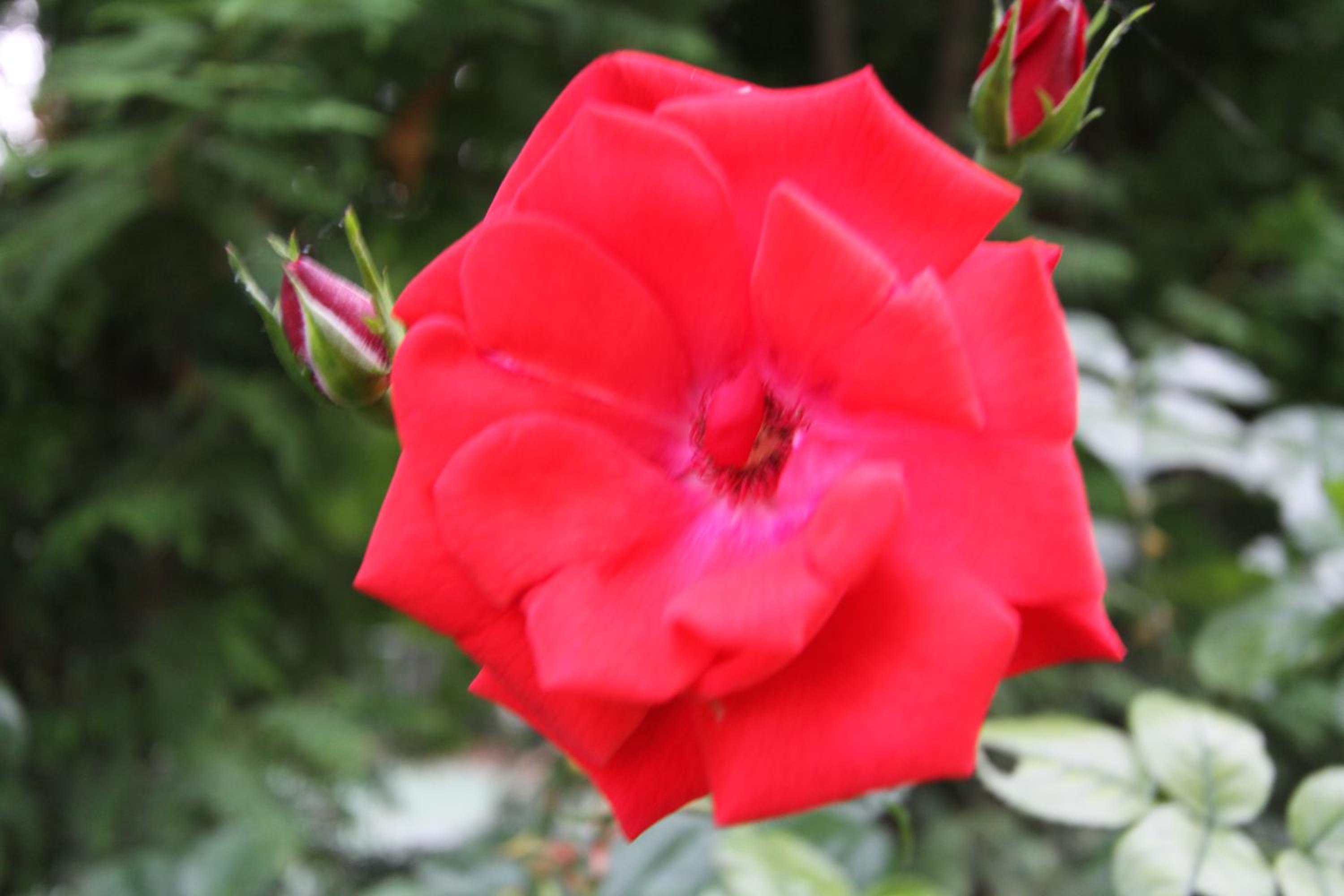 Photo 36