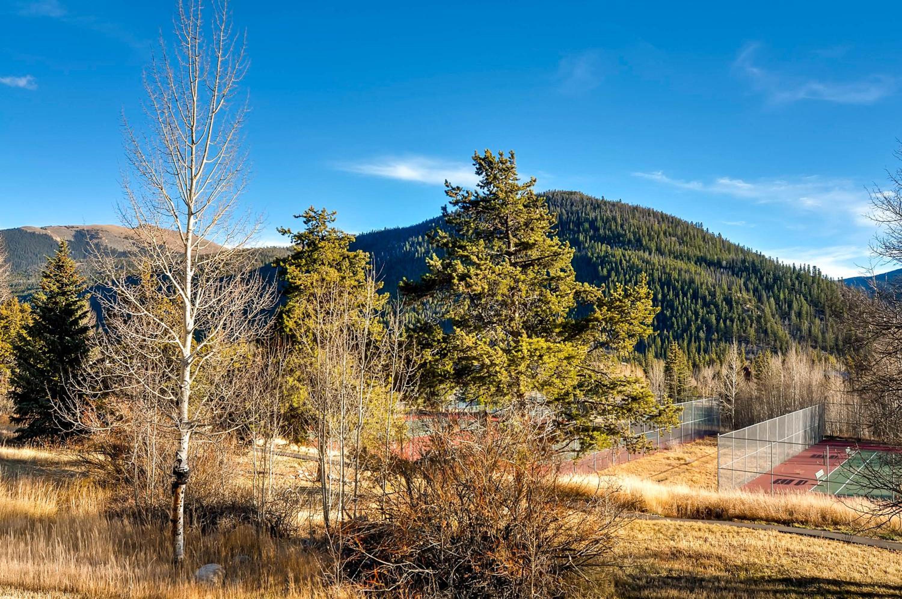 Summit County Vacations - Aspen Ridge Condominiums by Keystone Resort - Property Image 69