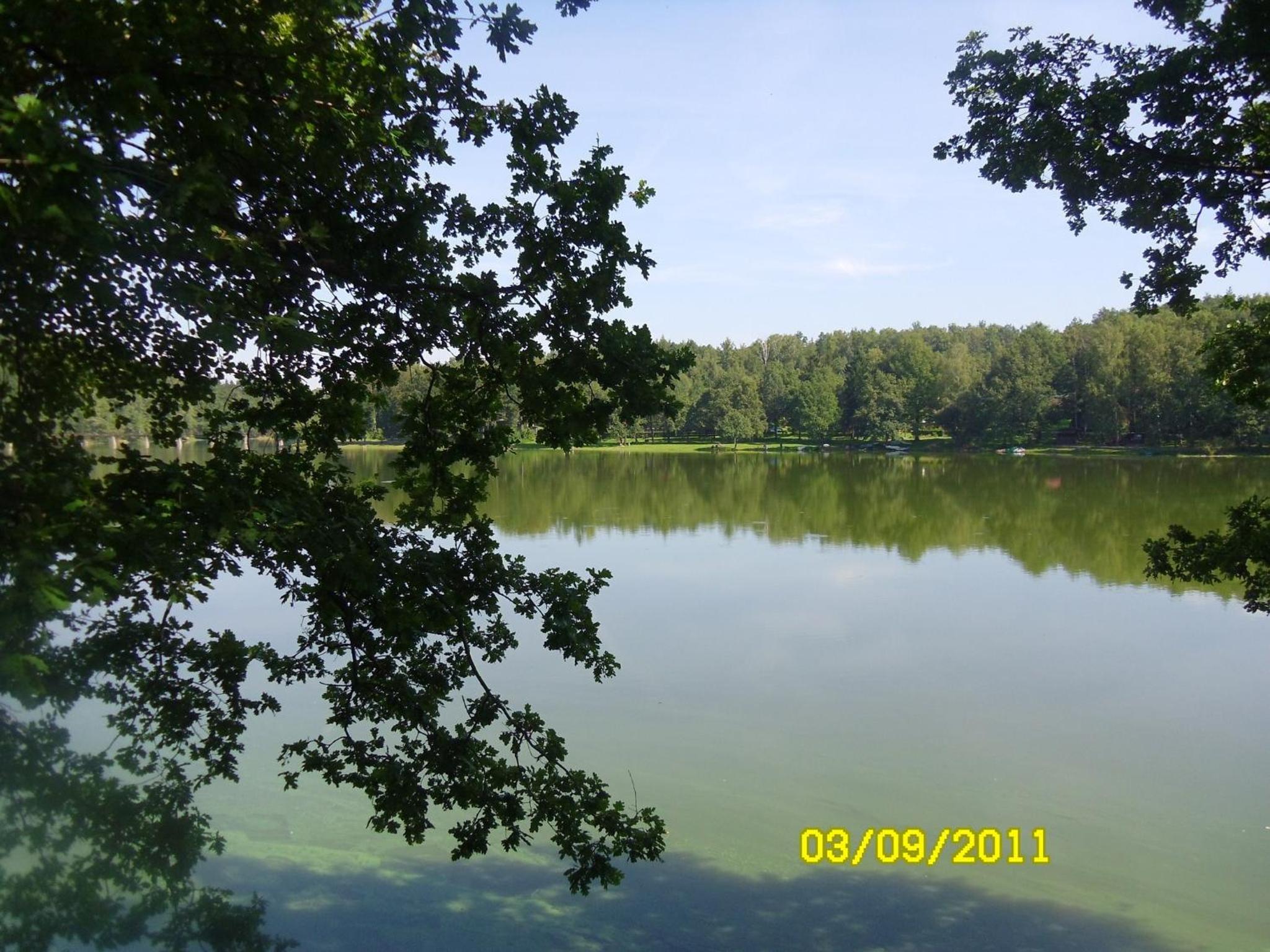 Photo 29