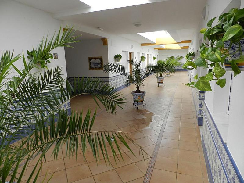 Apartamentos Conil Alquila view 2