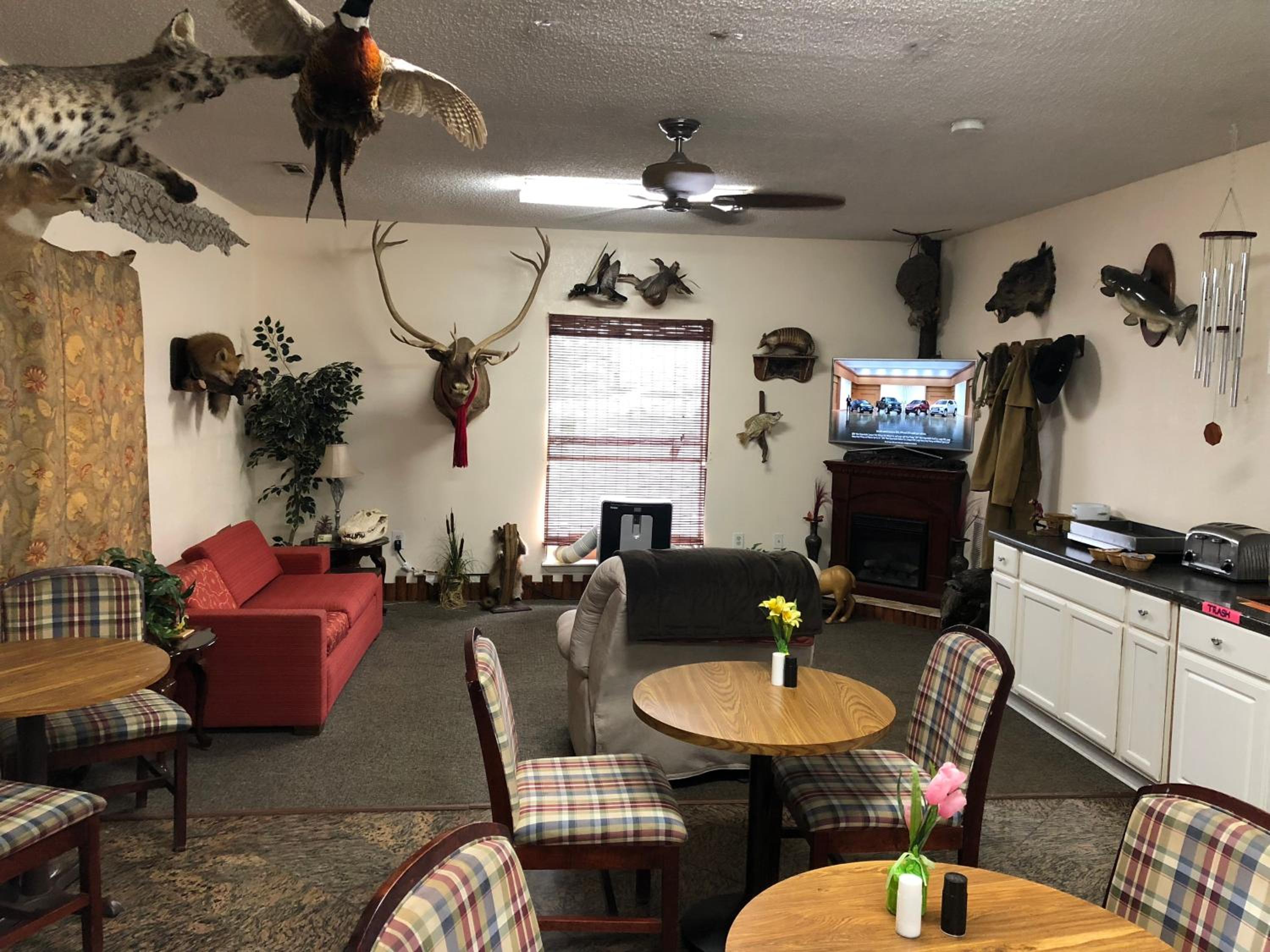Travel Inn, Billede 37