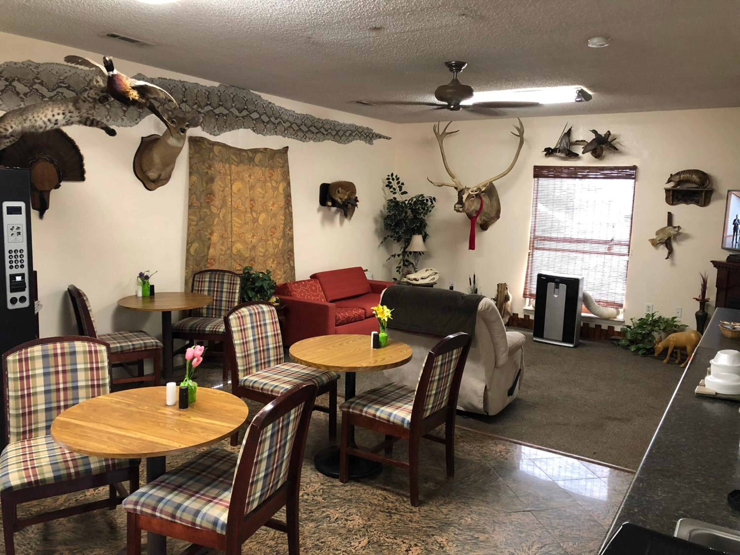 Travel Inn, Billede 47