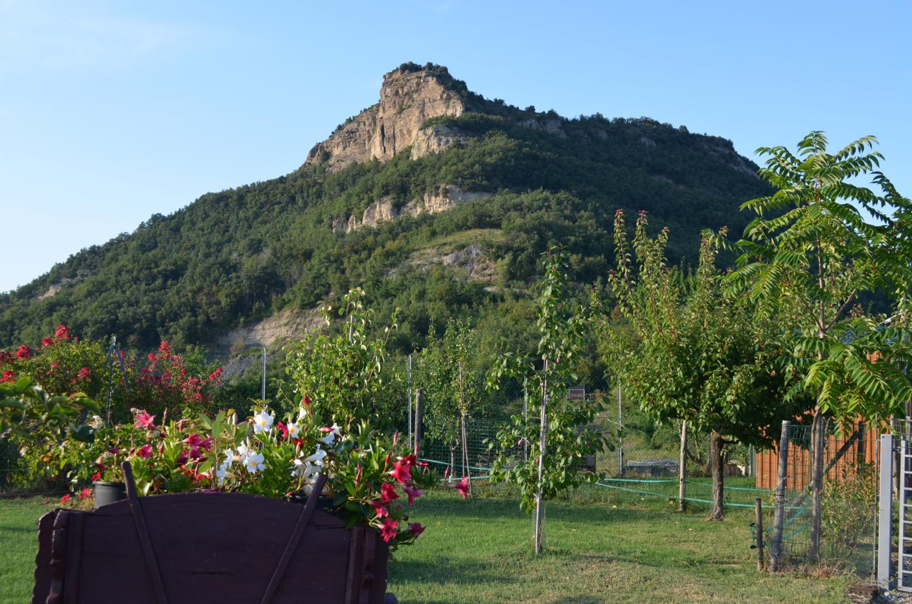 Agriturismo Ca' di Mazza
