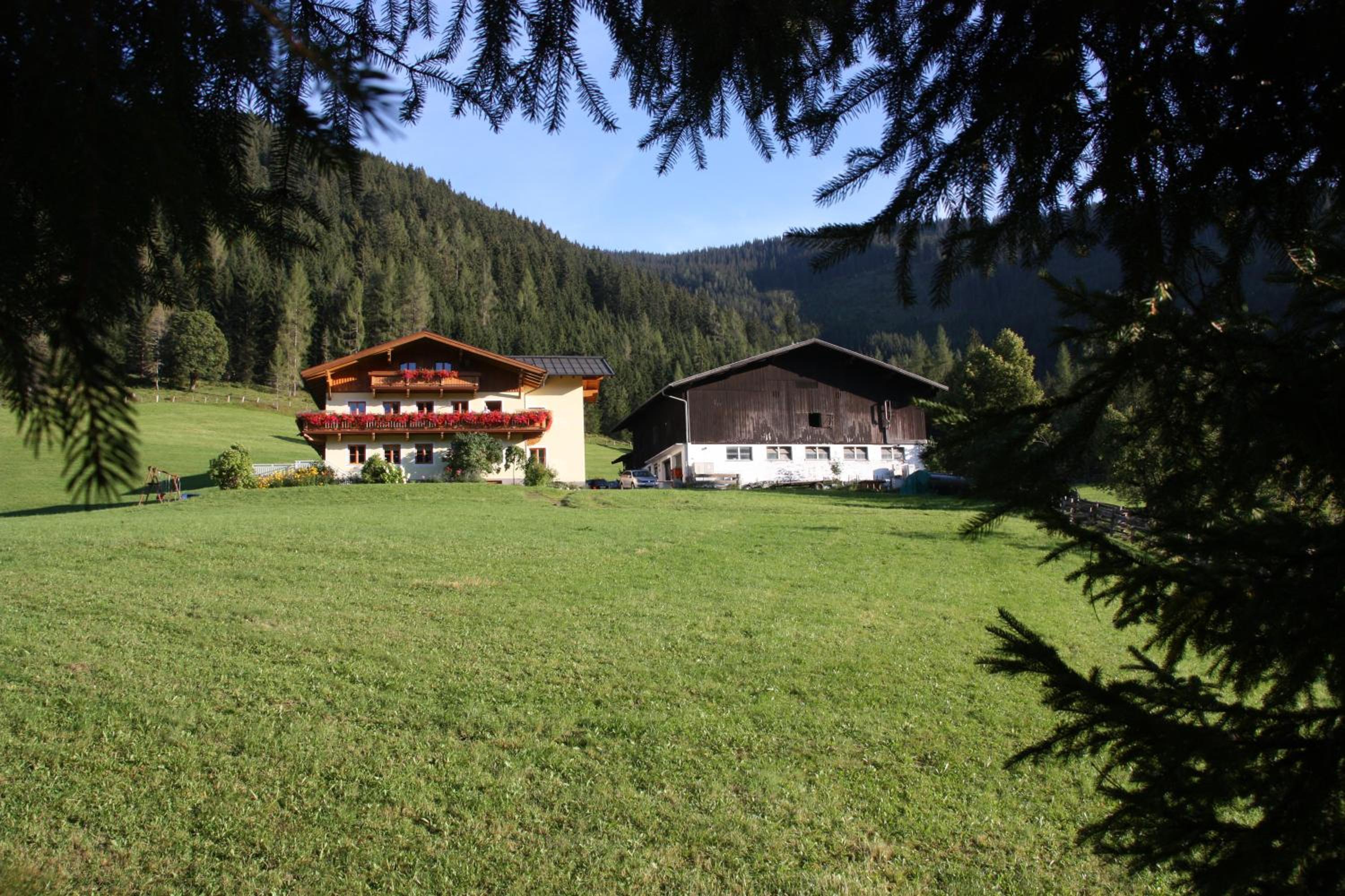 Photo 17