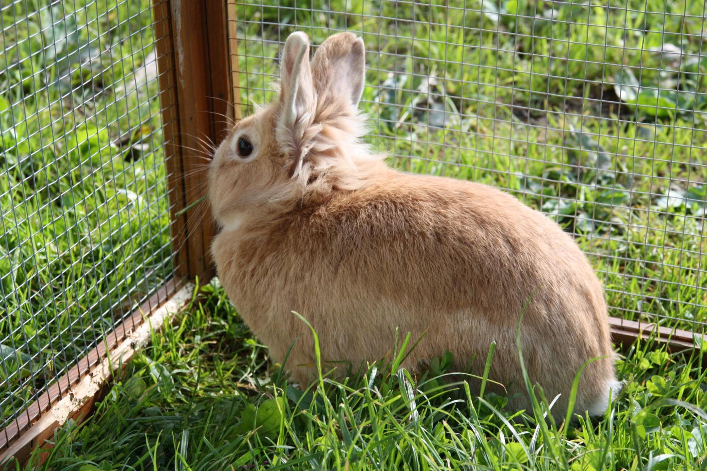 Photo 30
