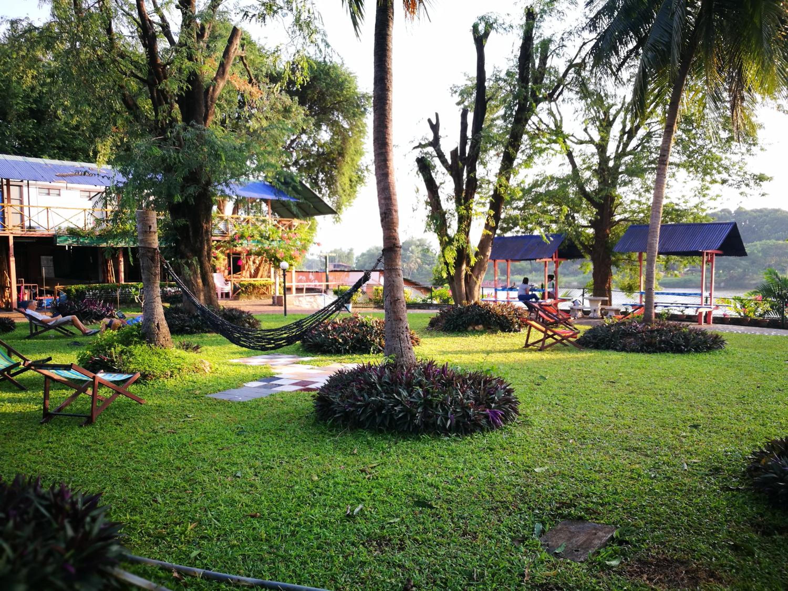 Smiley frog view 4