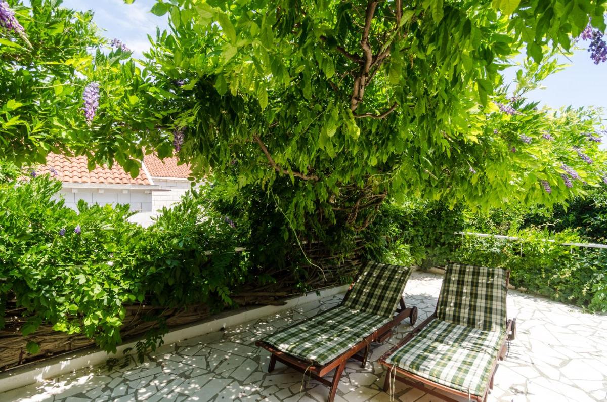 Wisteria Apartment