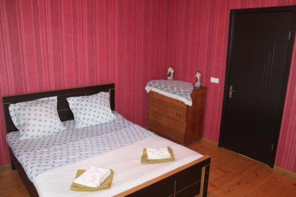 Beautiful Georgia Guesthouse view 5