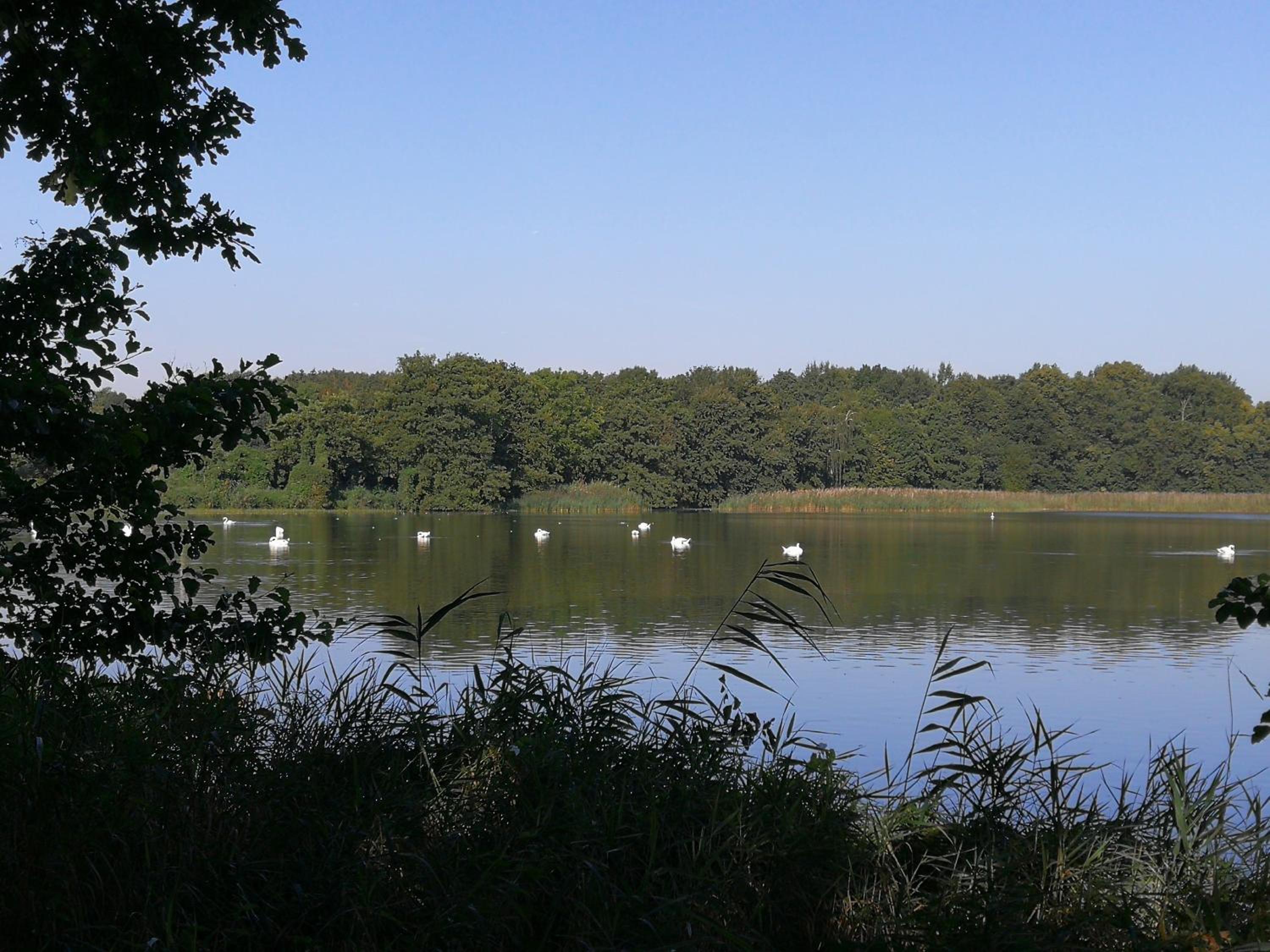 Photo 40
