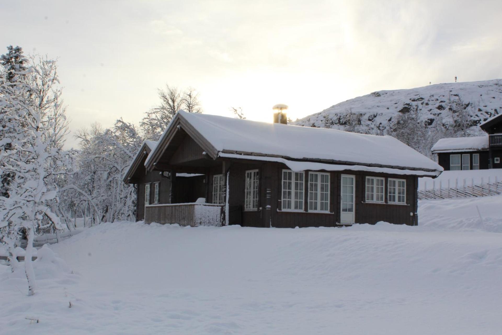 Bergestua - 4 bedroom cabin view 3
