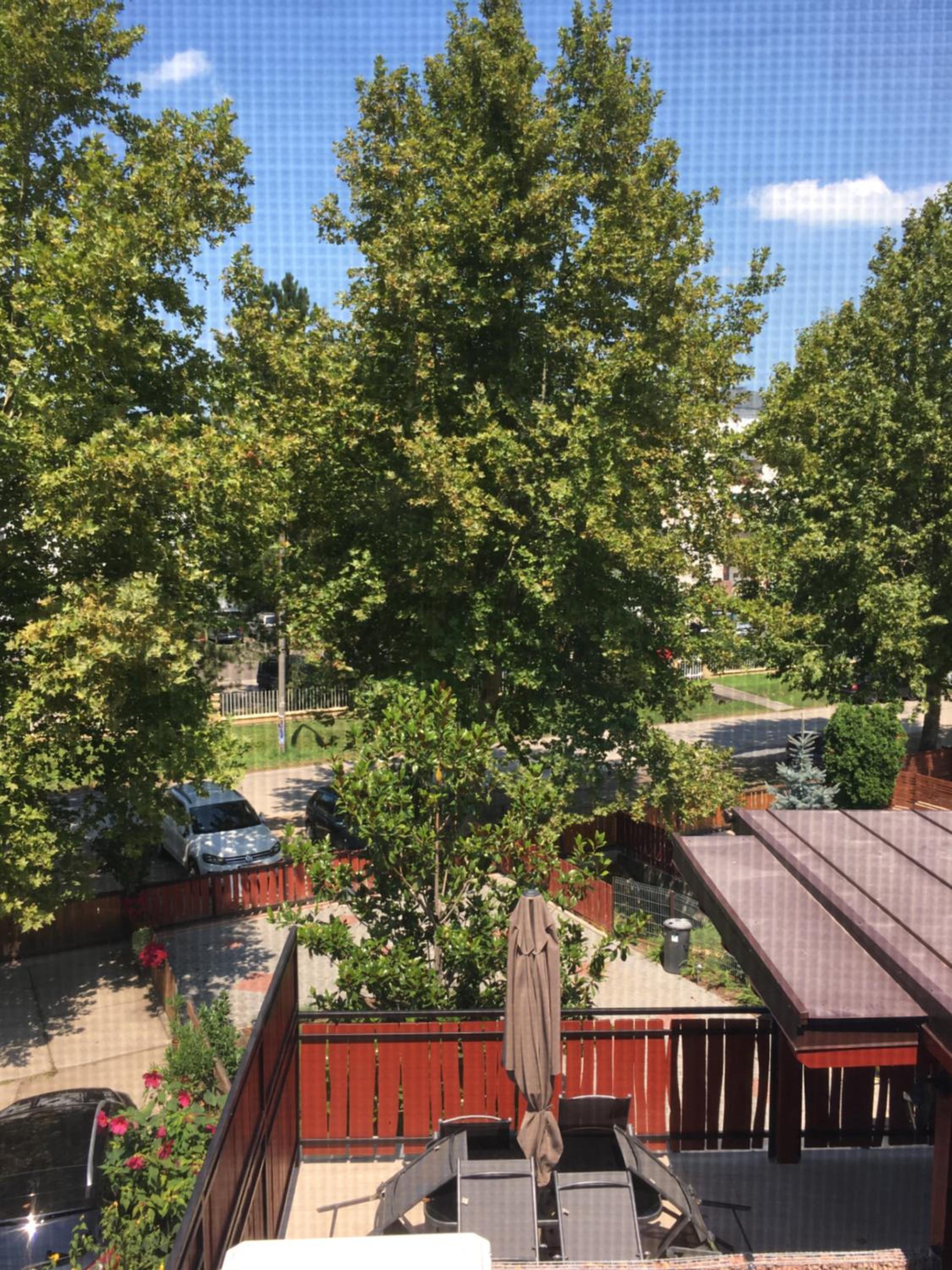 Laza Vendégház view 2