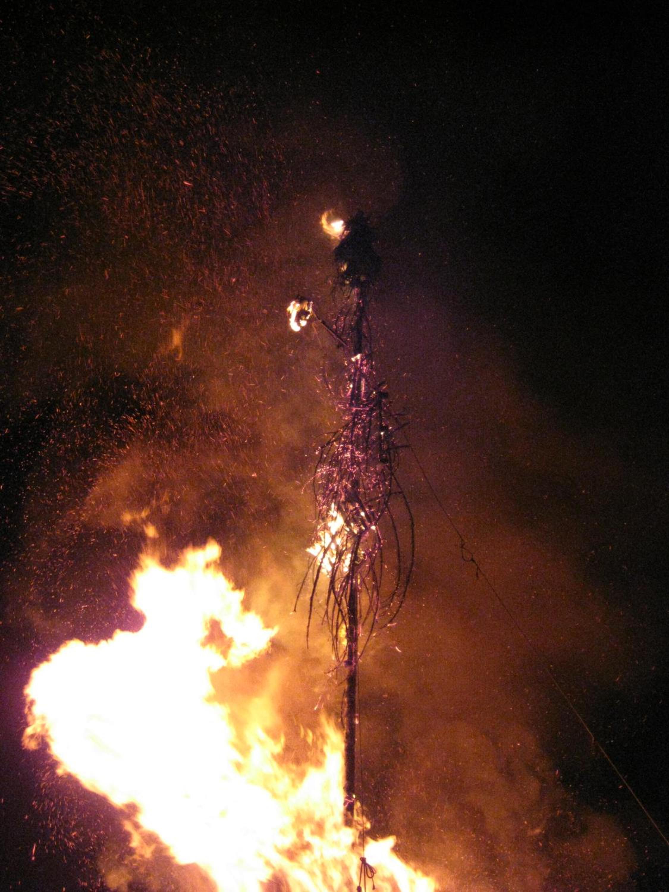 Photo 25