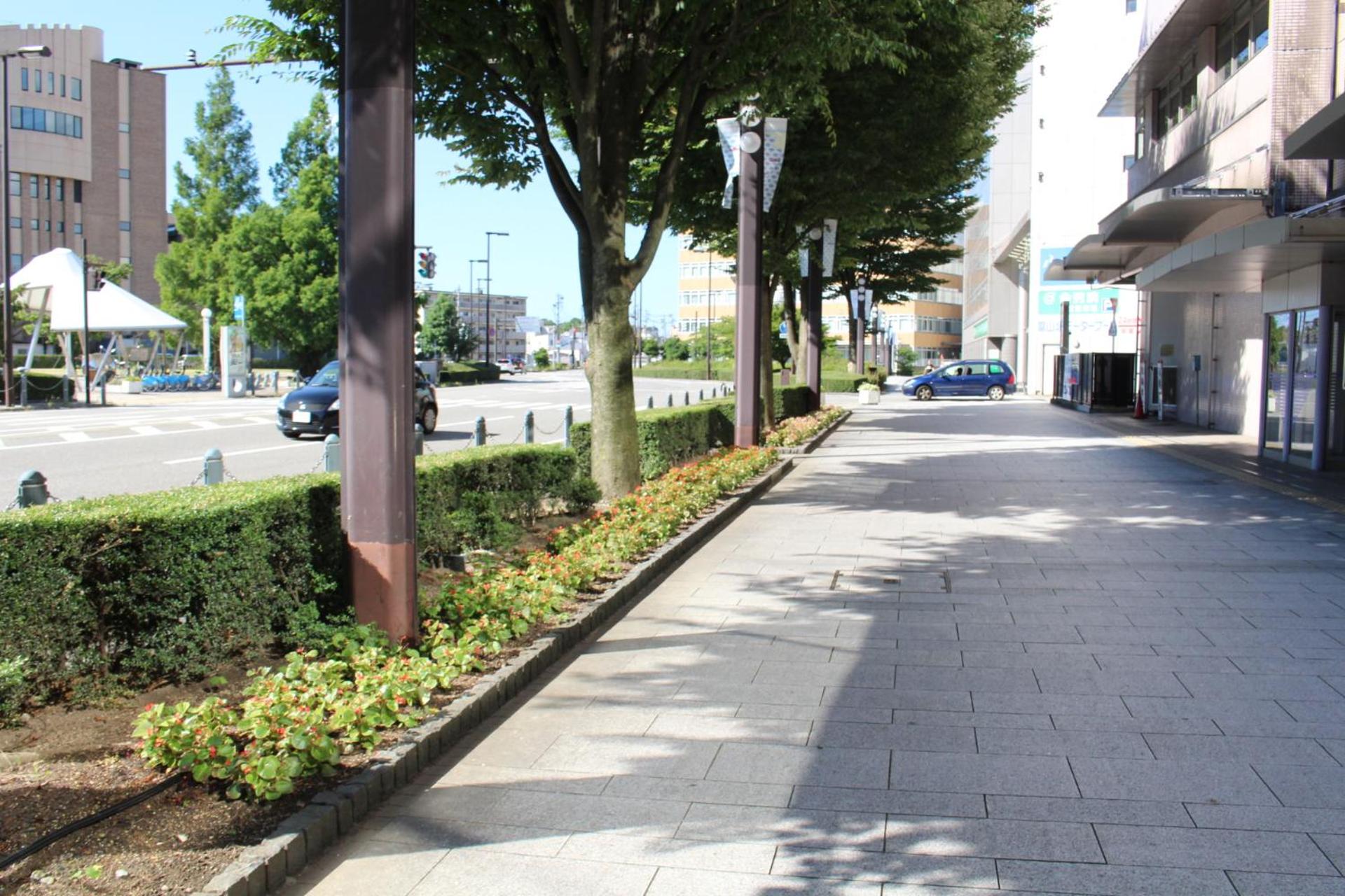 Iruka Hostel
