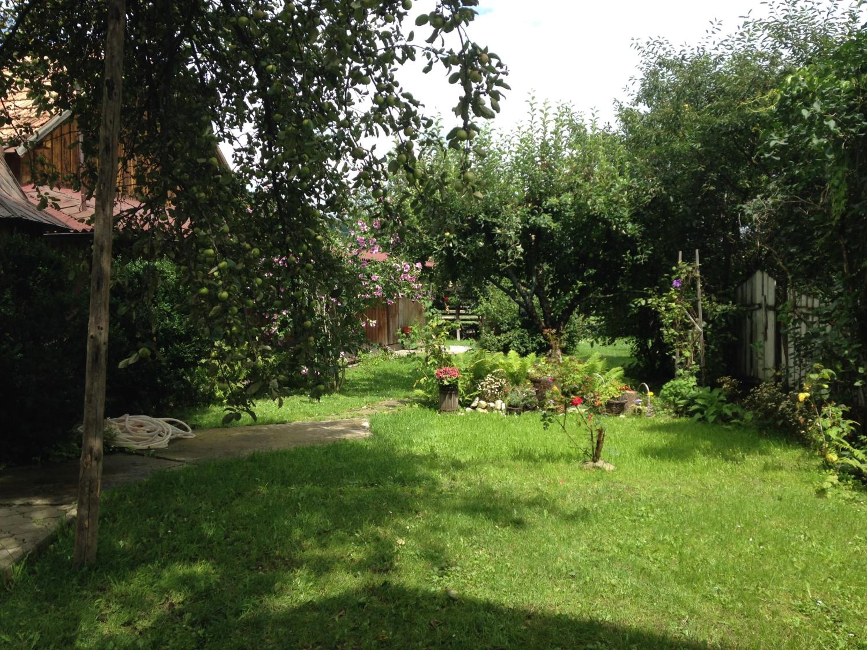 Photo 27