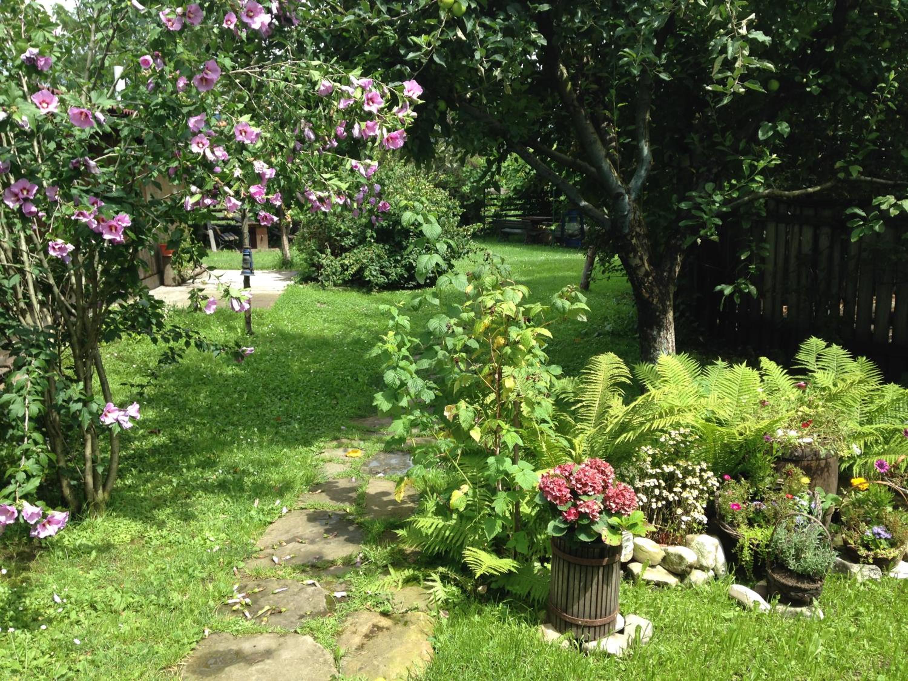 Photo 26