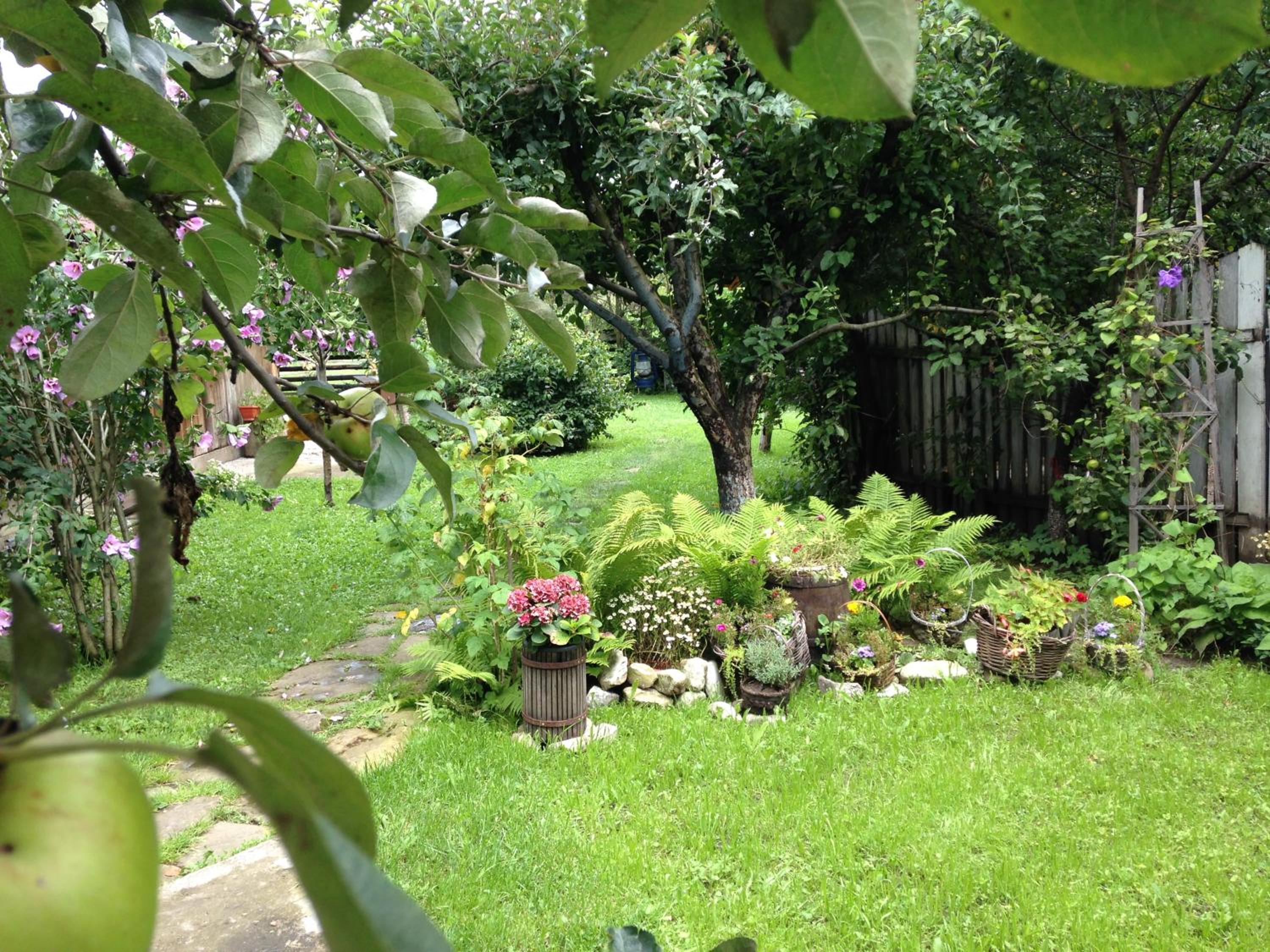 Photo 25